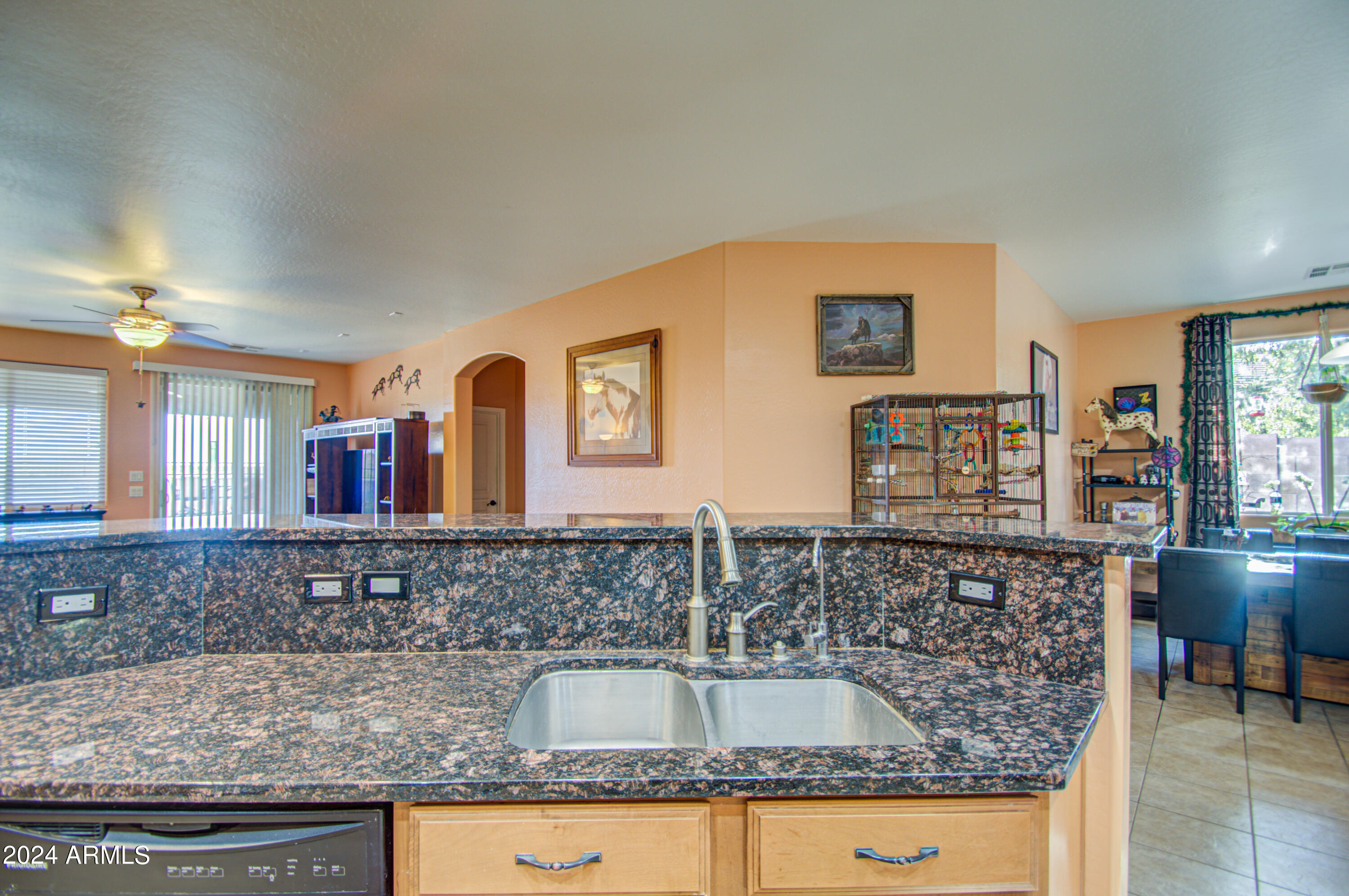 731 E PASTURE CANYON Drive