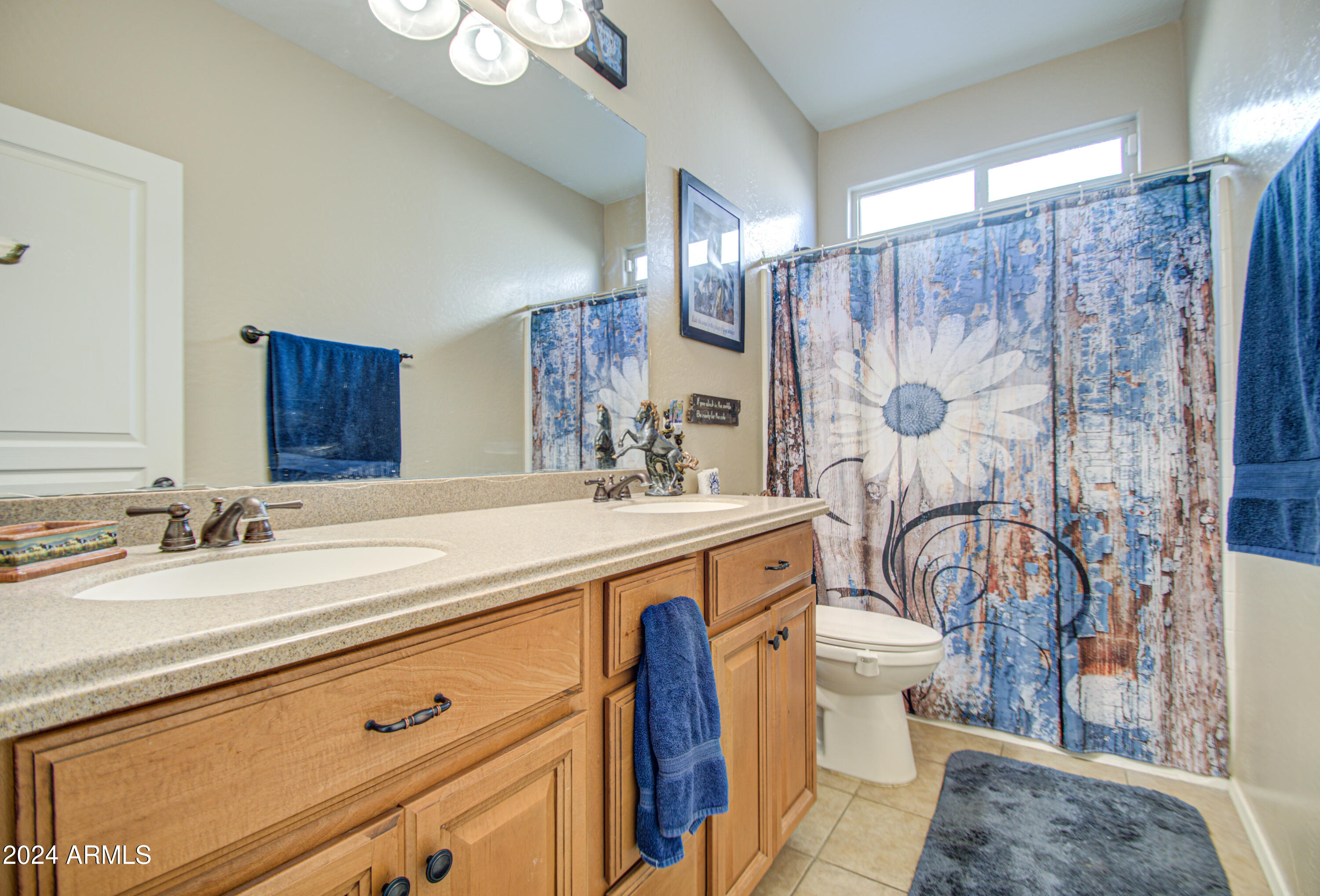 731 E PASTURE CANYON Drive