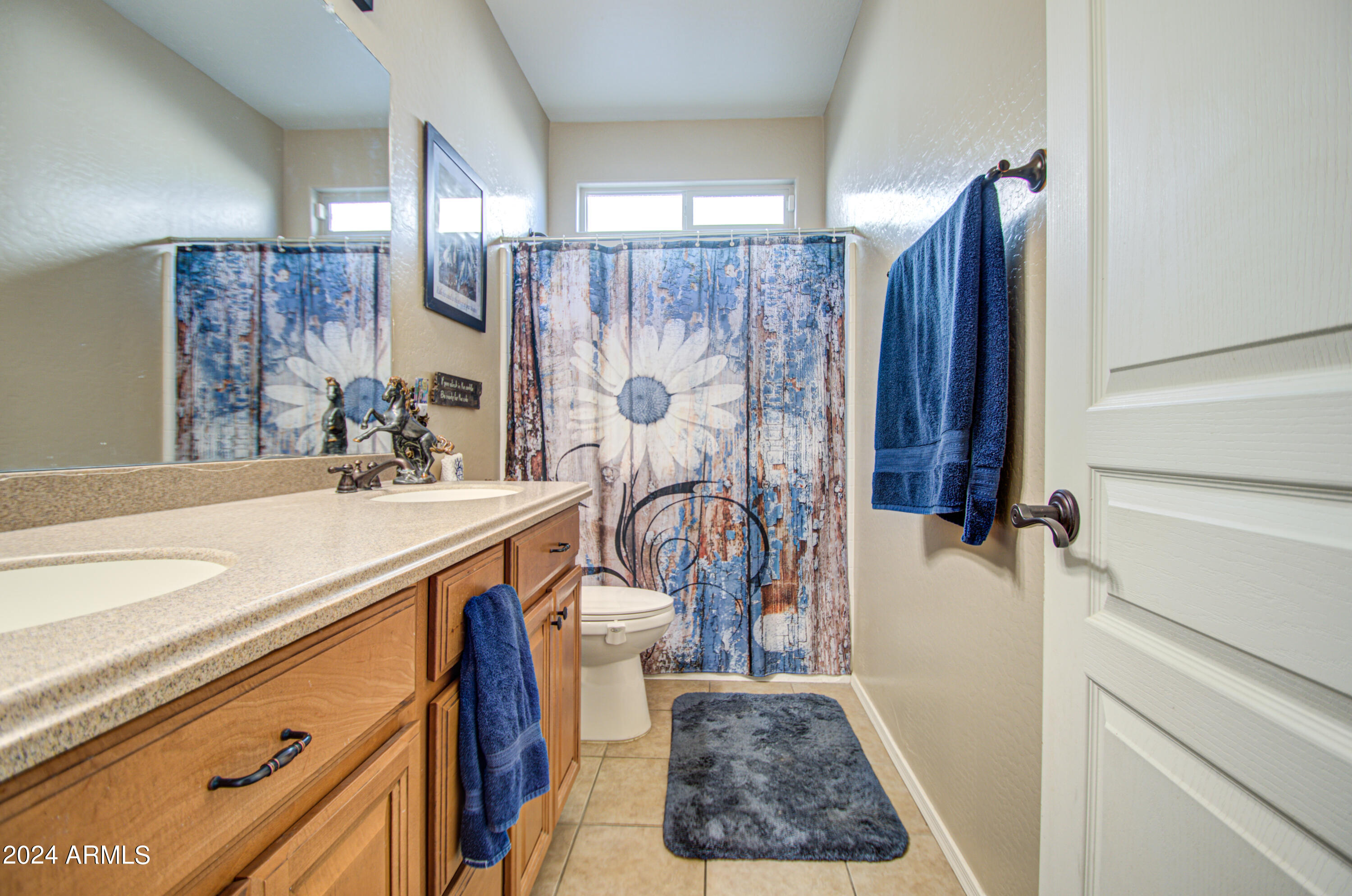 731 E PASTURE CANYON Drive