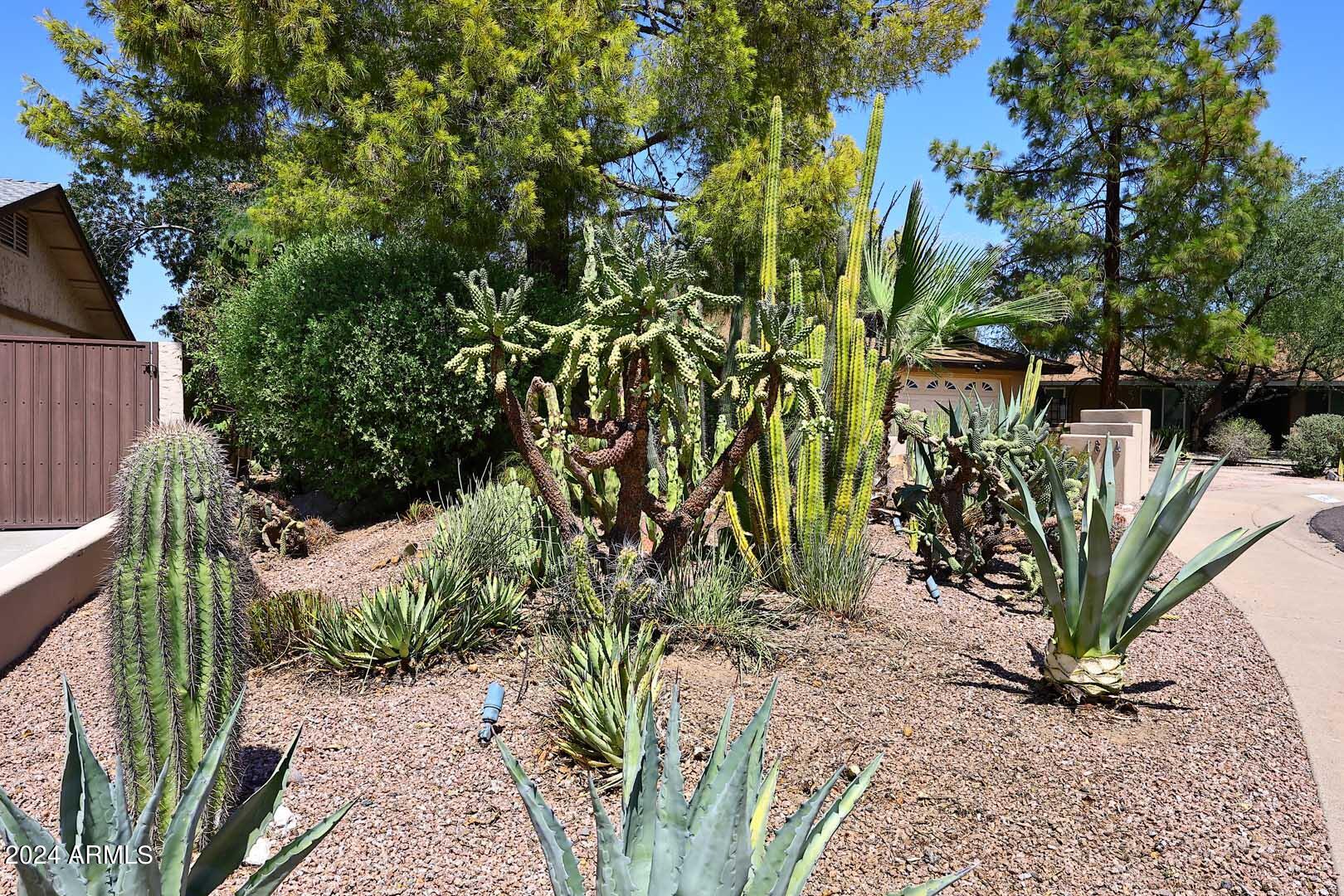 1814 E HARMONT Drive