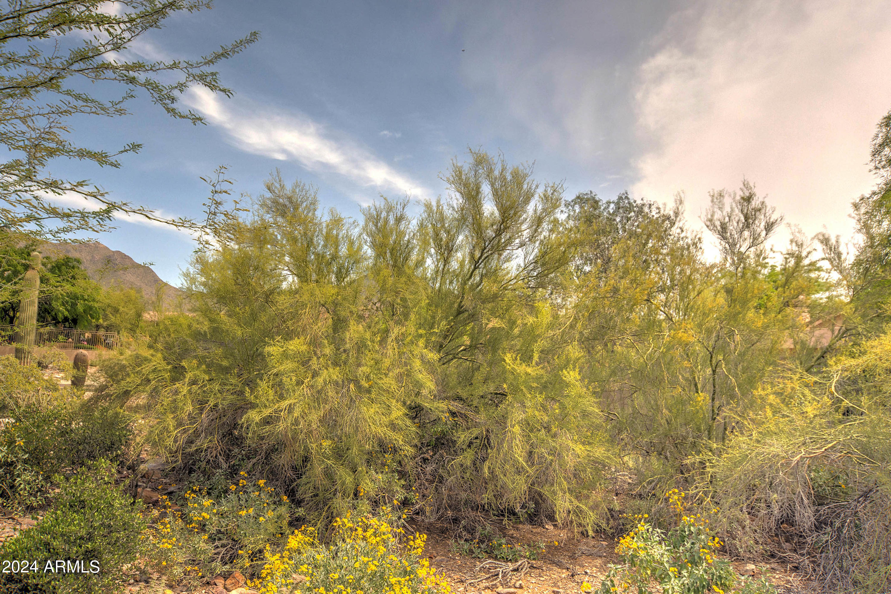 10577 E STAR OF THE DESERT Drive