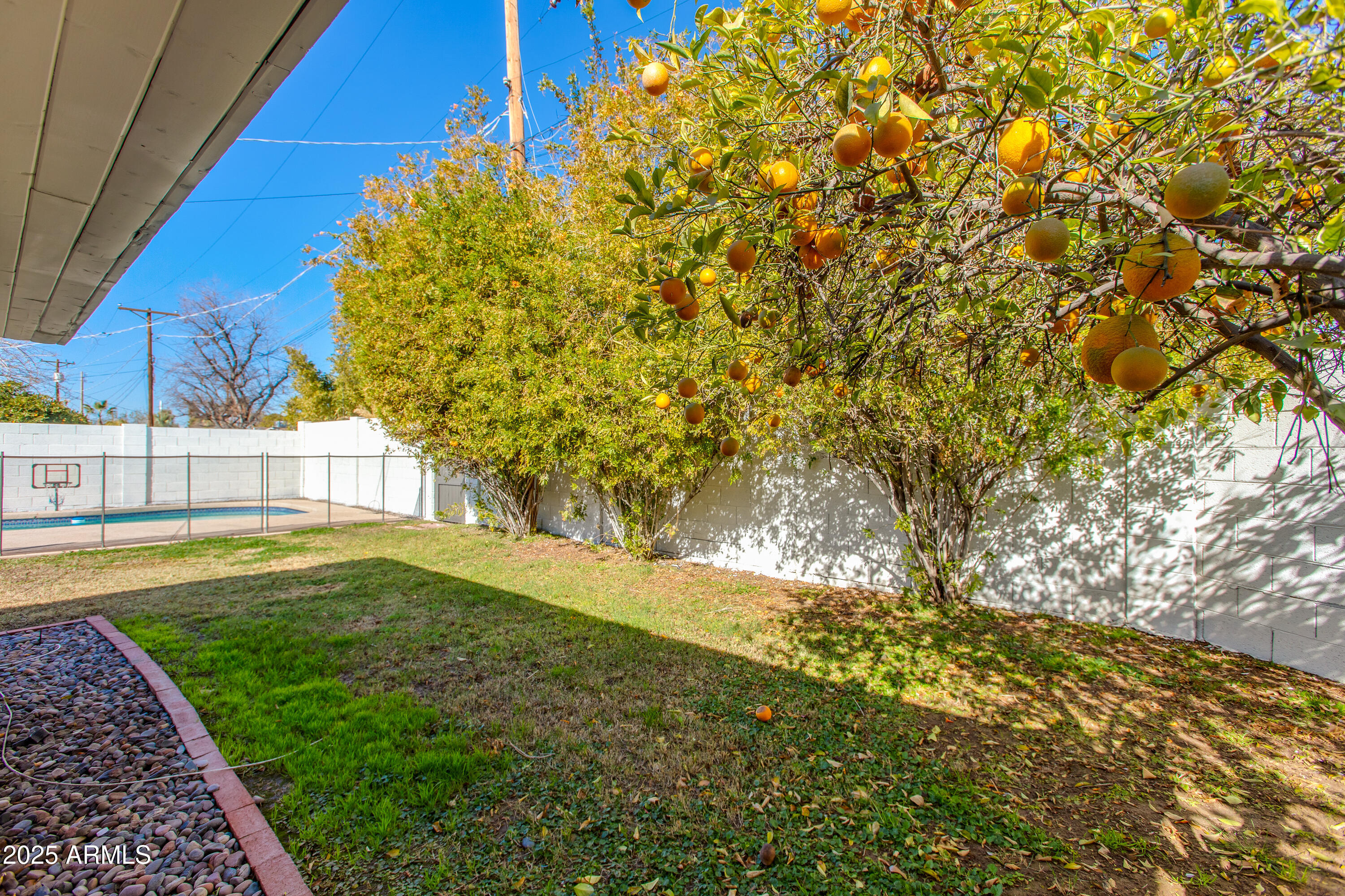 4322 E MULBERRY Drive