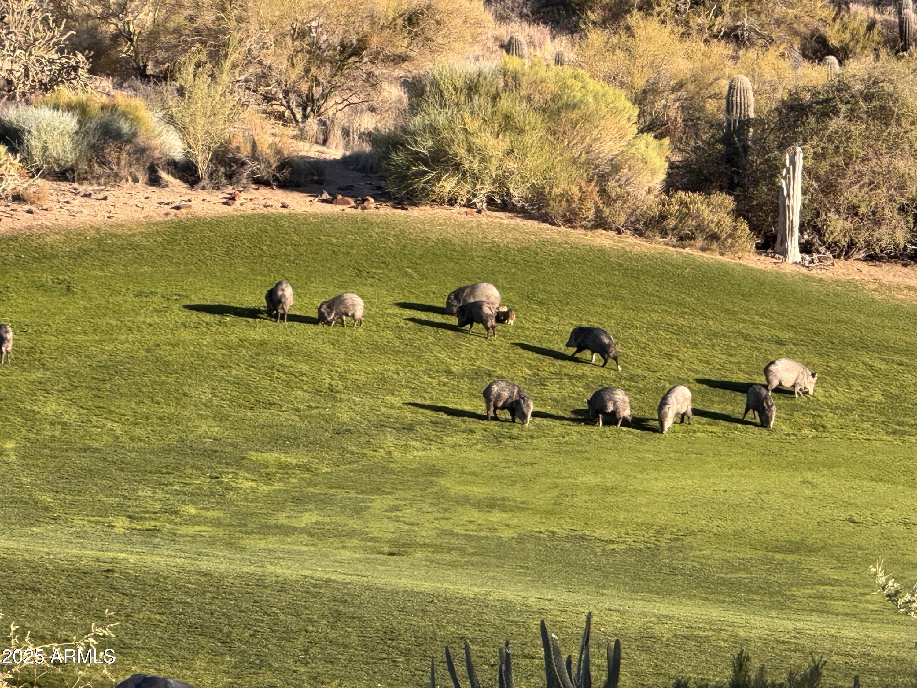 34457 N LEGEND TRAIL Parkway N, 2020