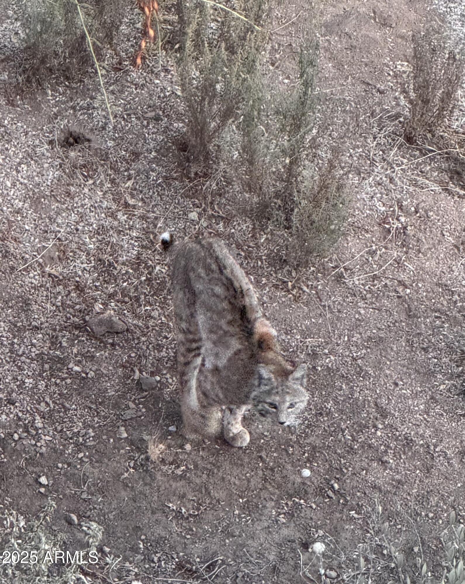 34457 N LEGEND TRAIL Parkway N, 2020