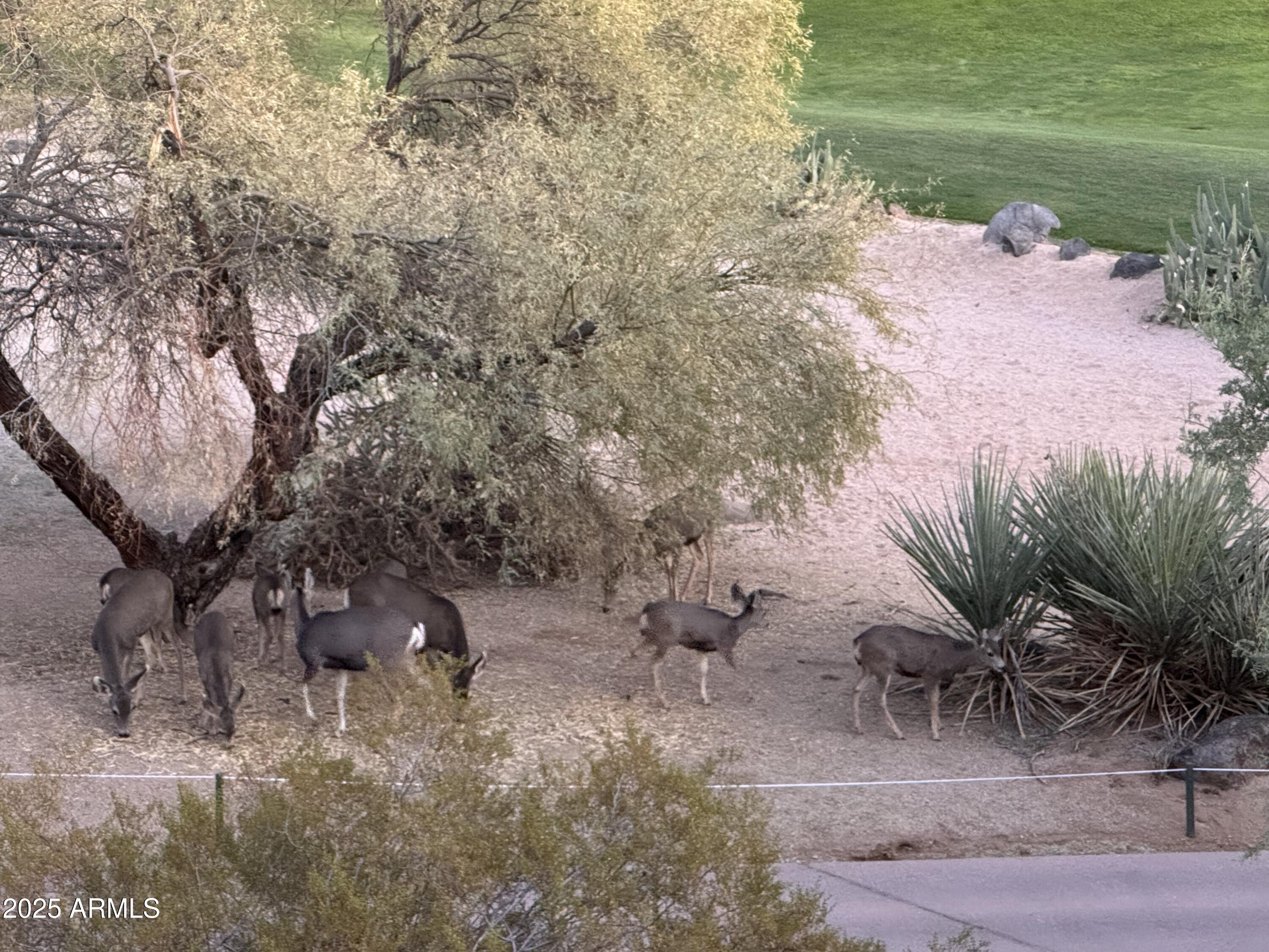 34457 N LEGEND TRAIL Parkway N, 2020