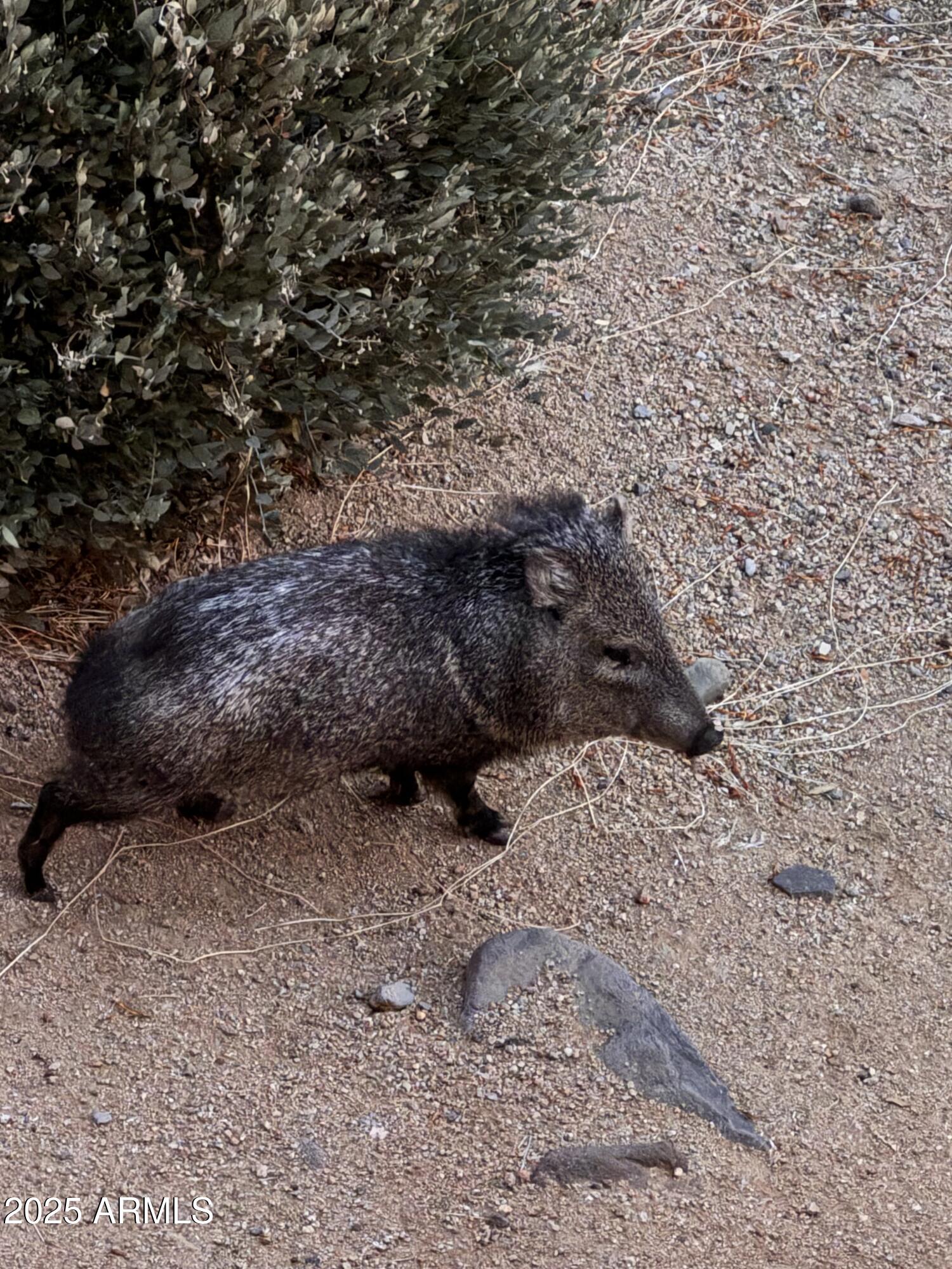 34457 N LEGEND TRAIL Parkway N, 2020