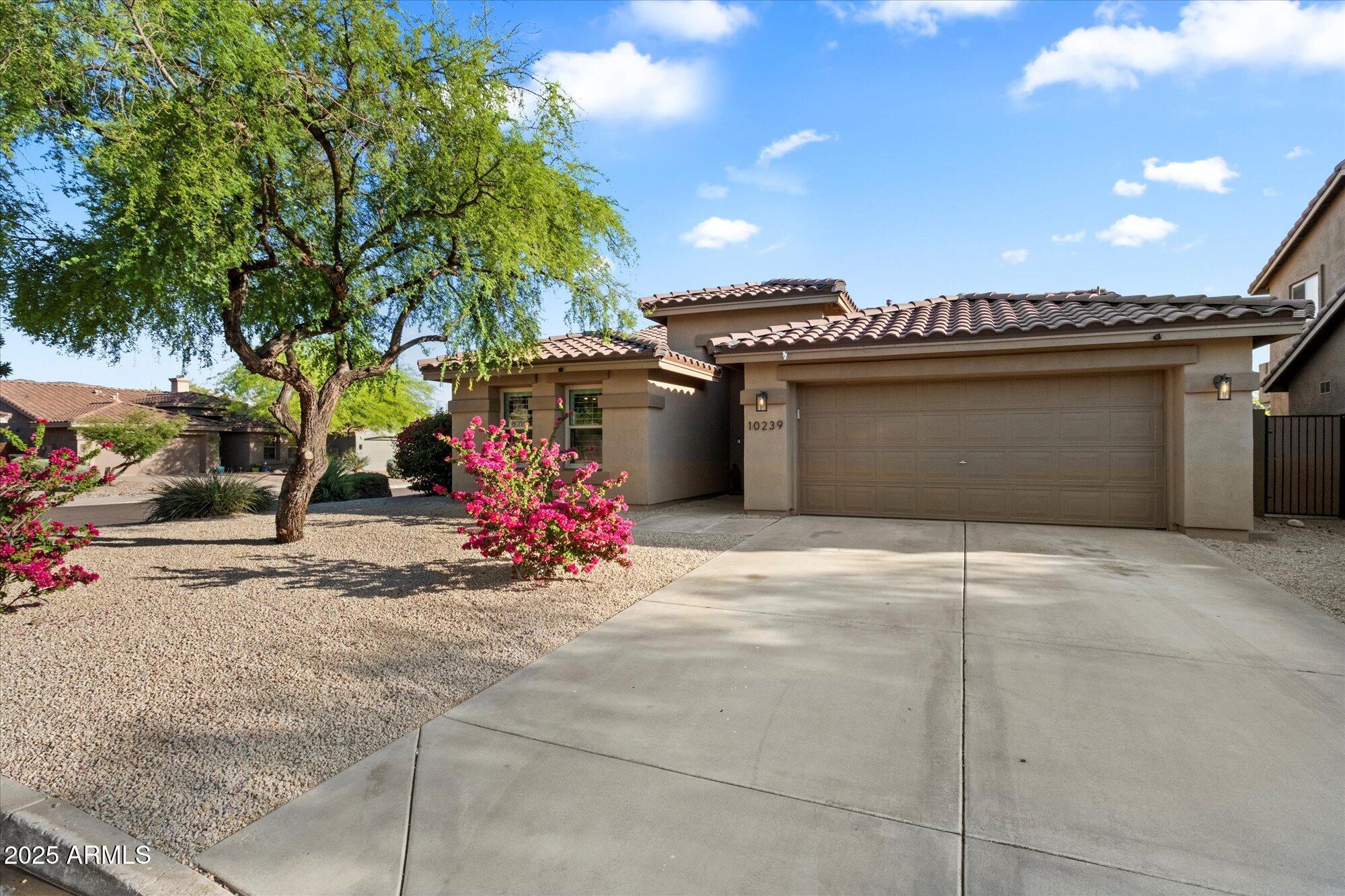 10239 E Salt Bush Drive