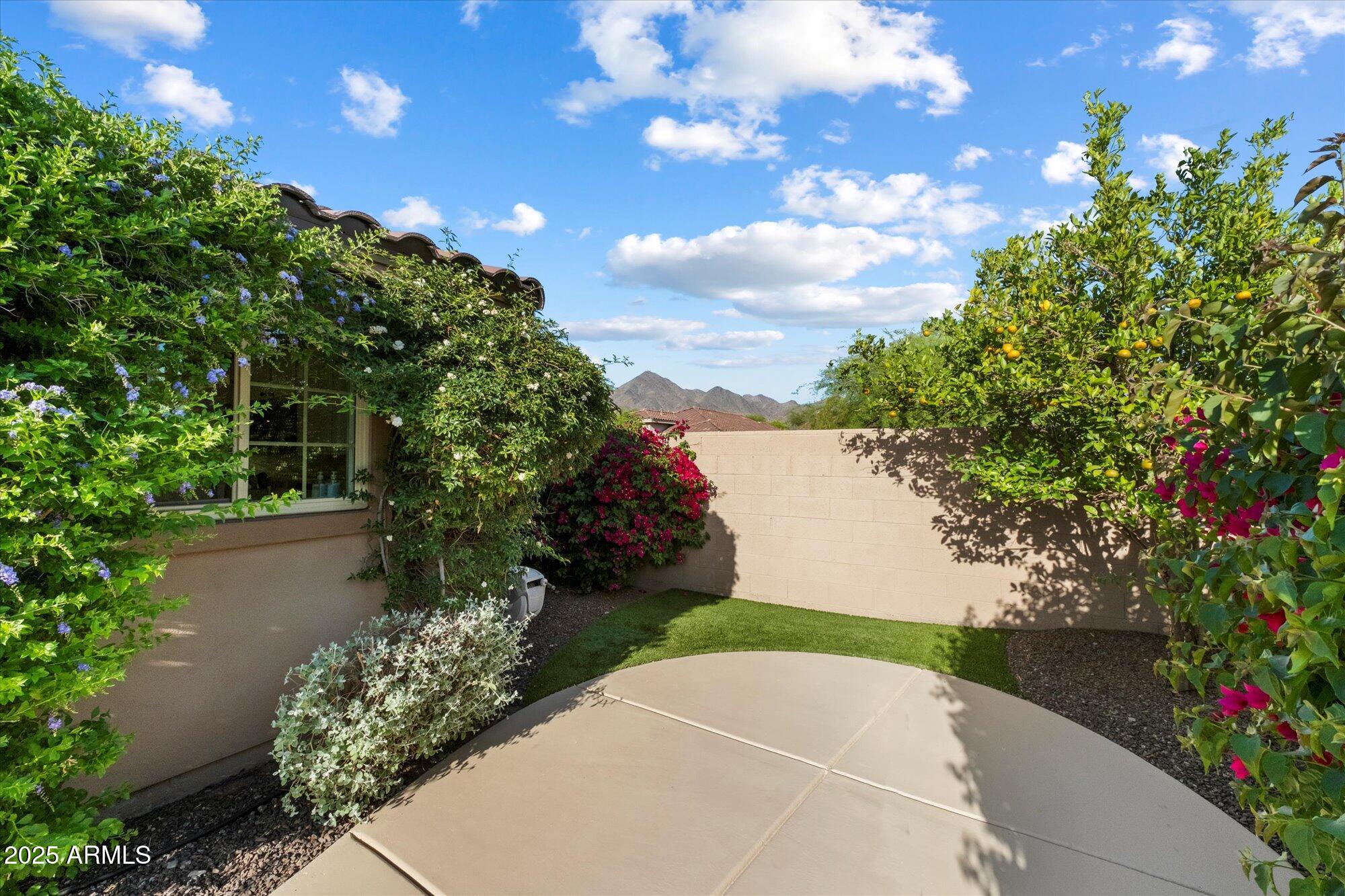 10239 E Salt Bush Drive