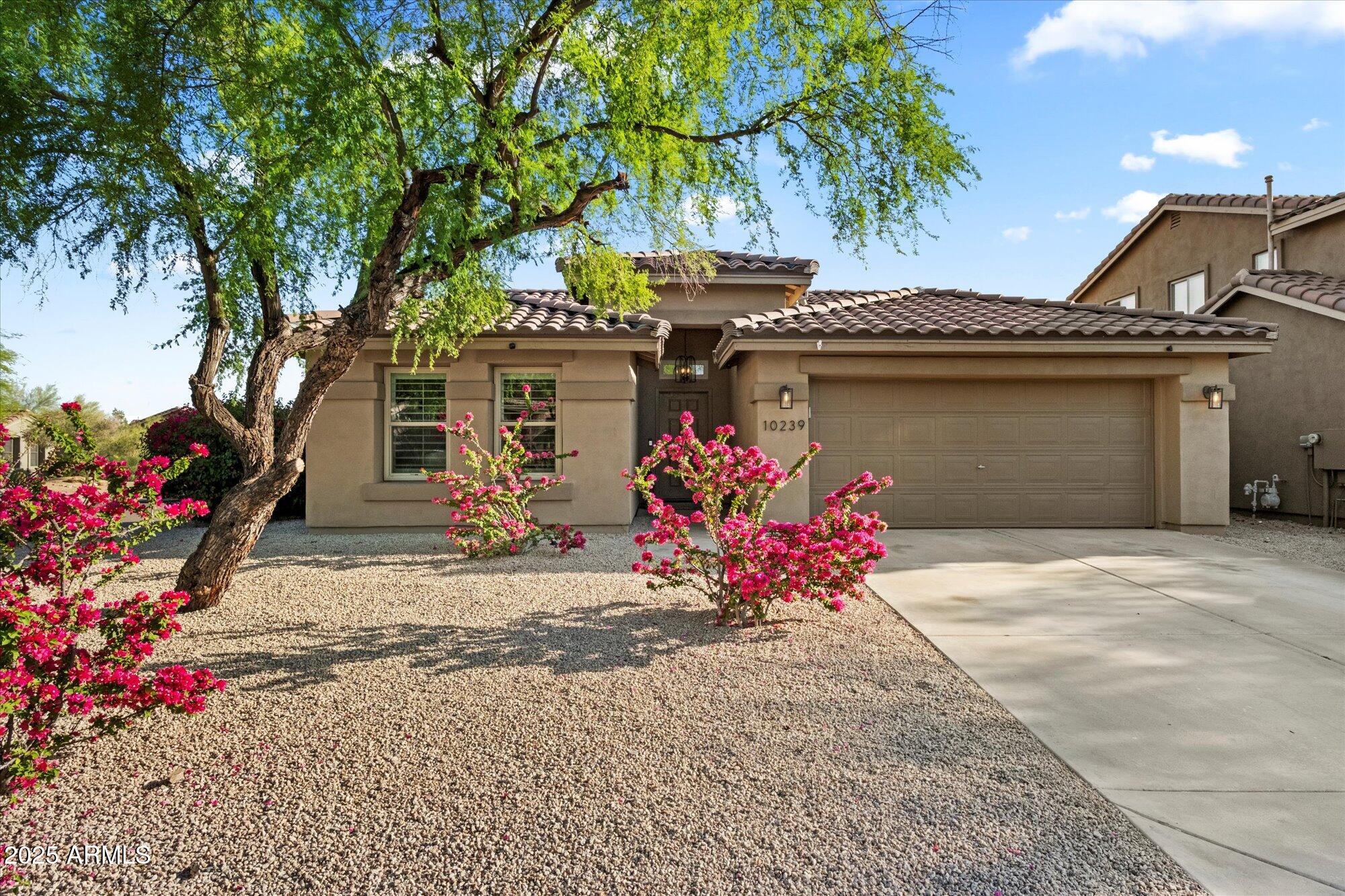 10239 E Salt Bush Drive