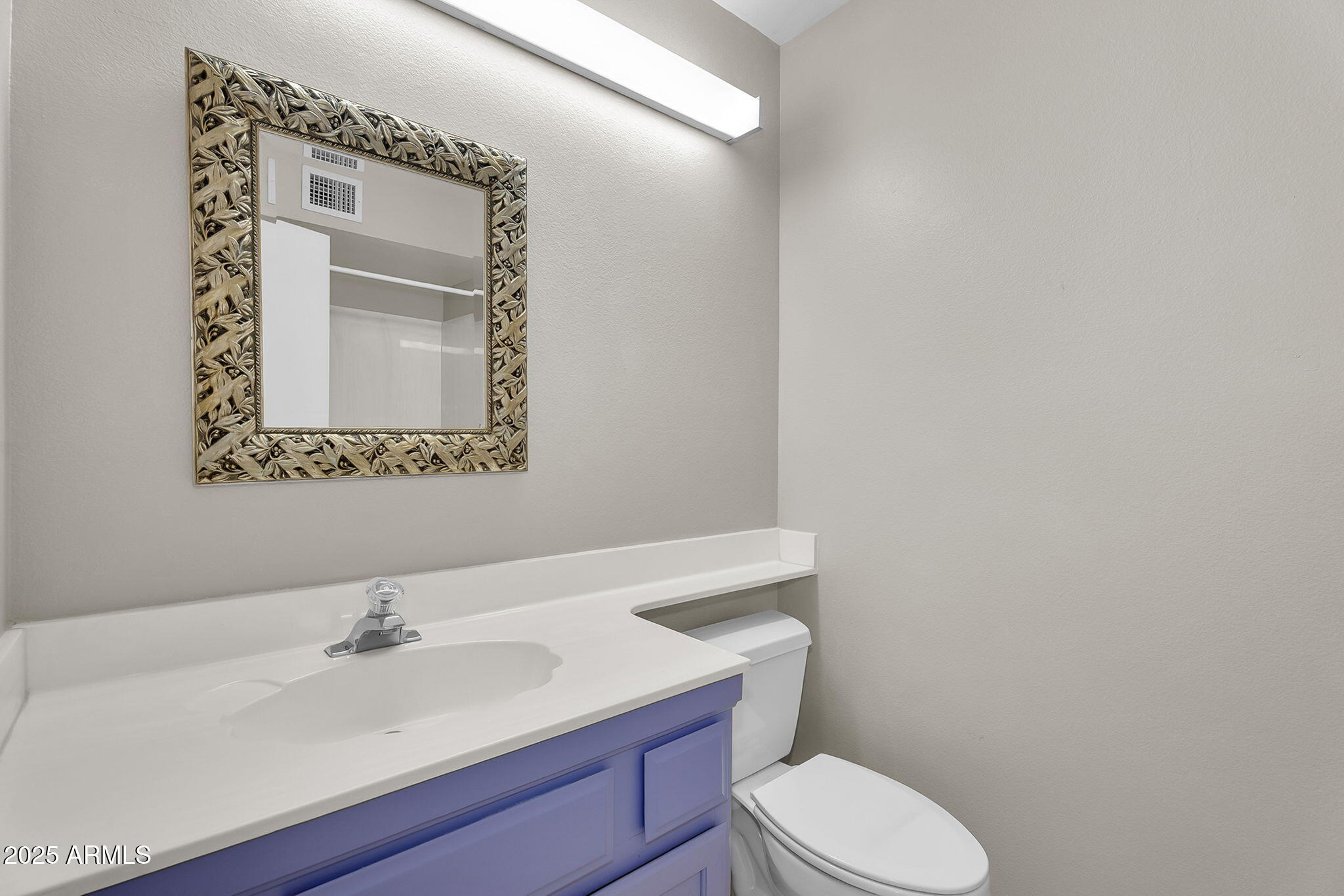 18416 N SPANISH GARDEN Drive