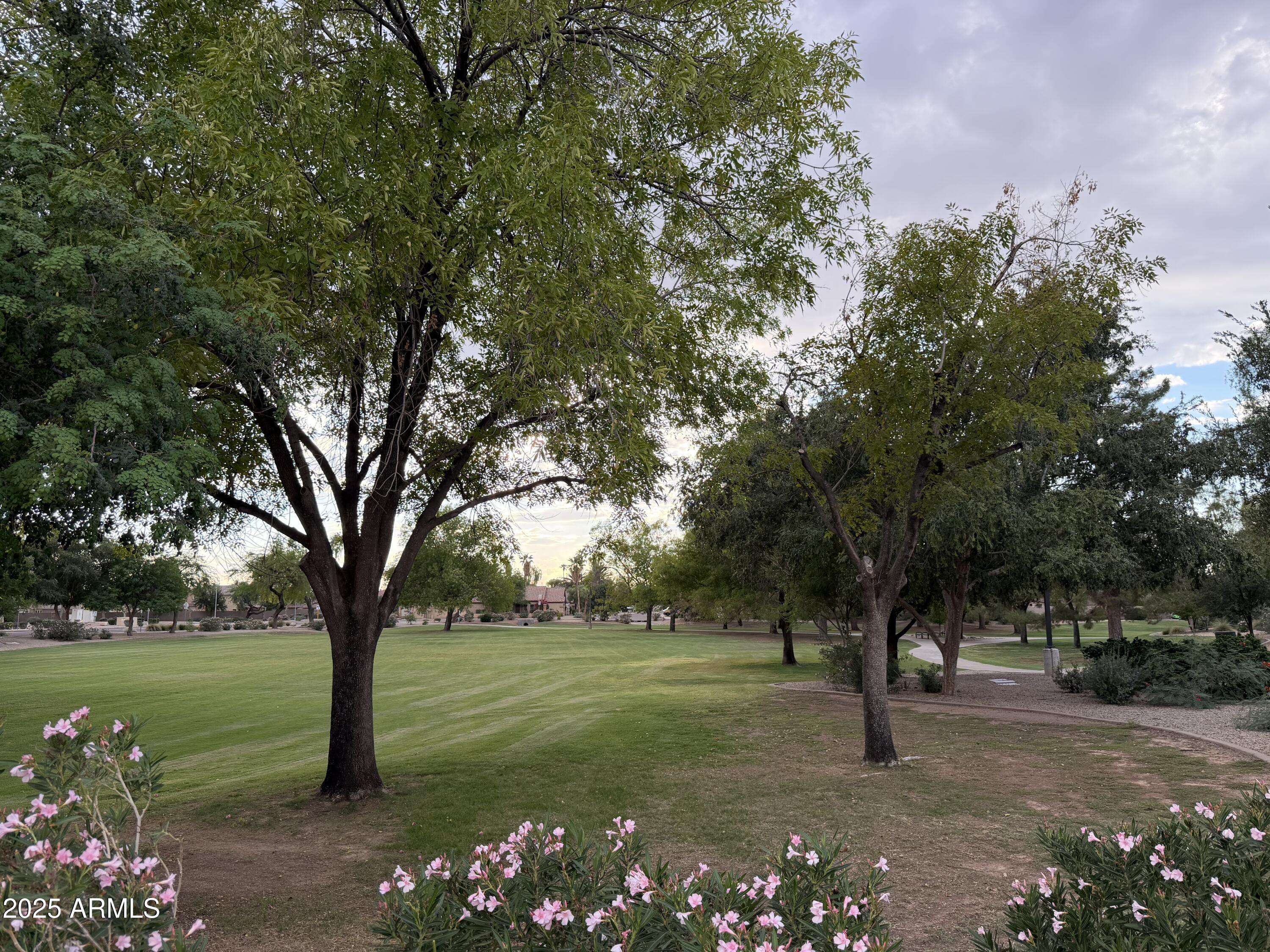 7262 W FIREBIRD Drive