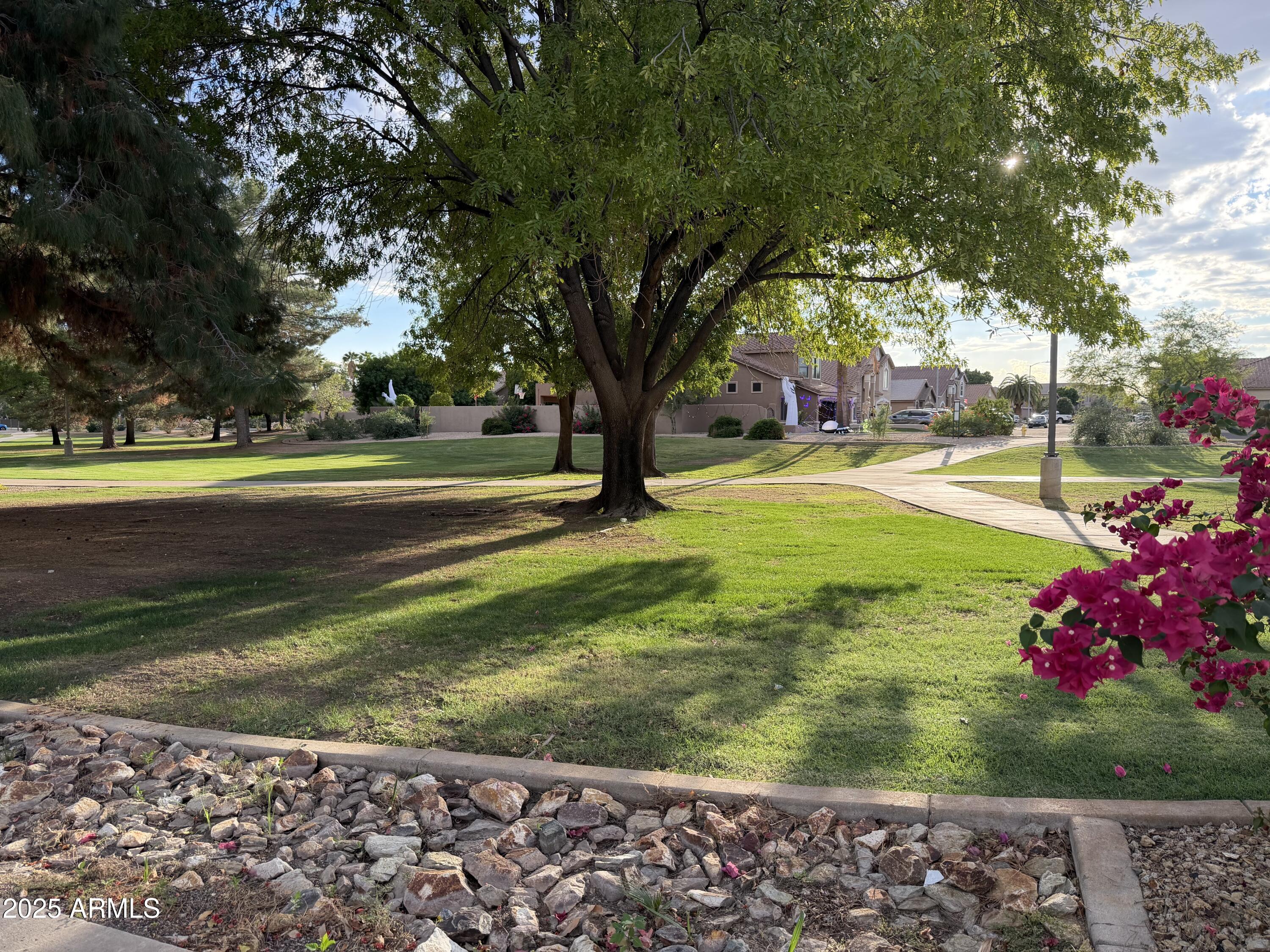 7262 W FIREBIRD Drive