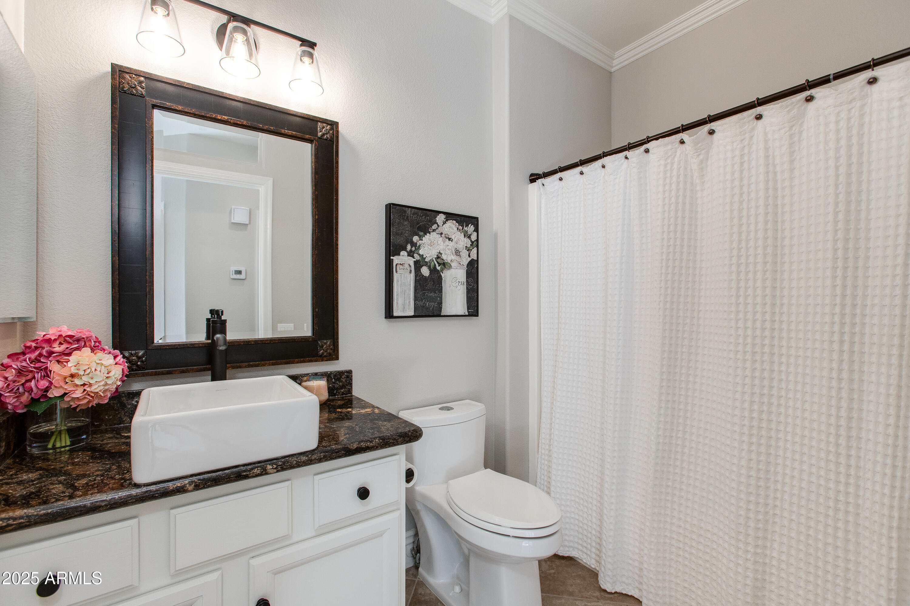 14324 W ROBERTSON Drive, Sun City West