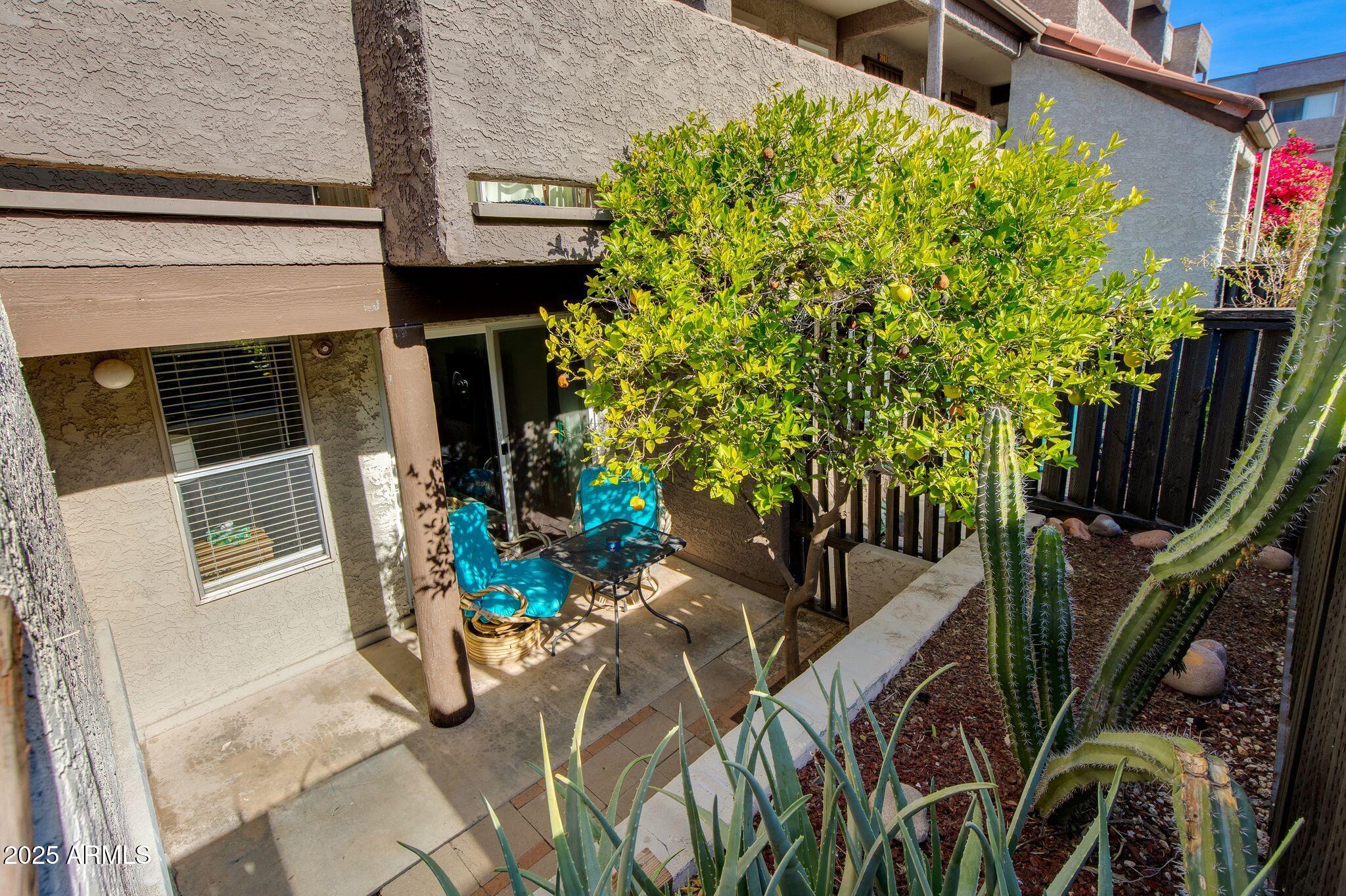 1645 W BASELINE Road 1058