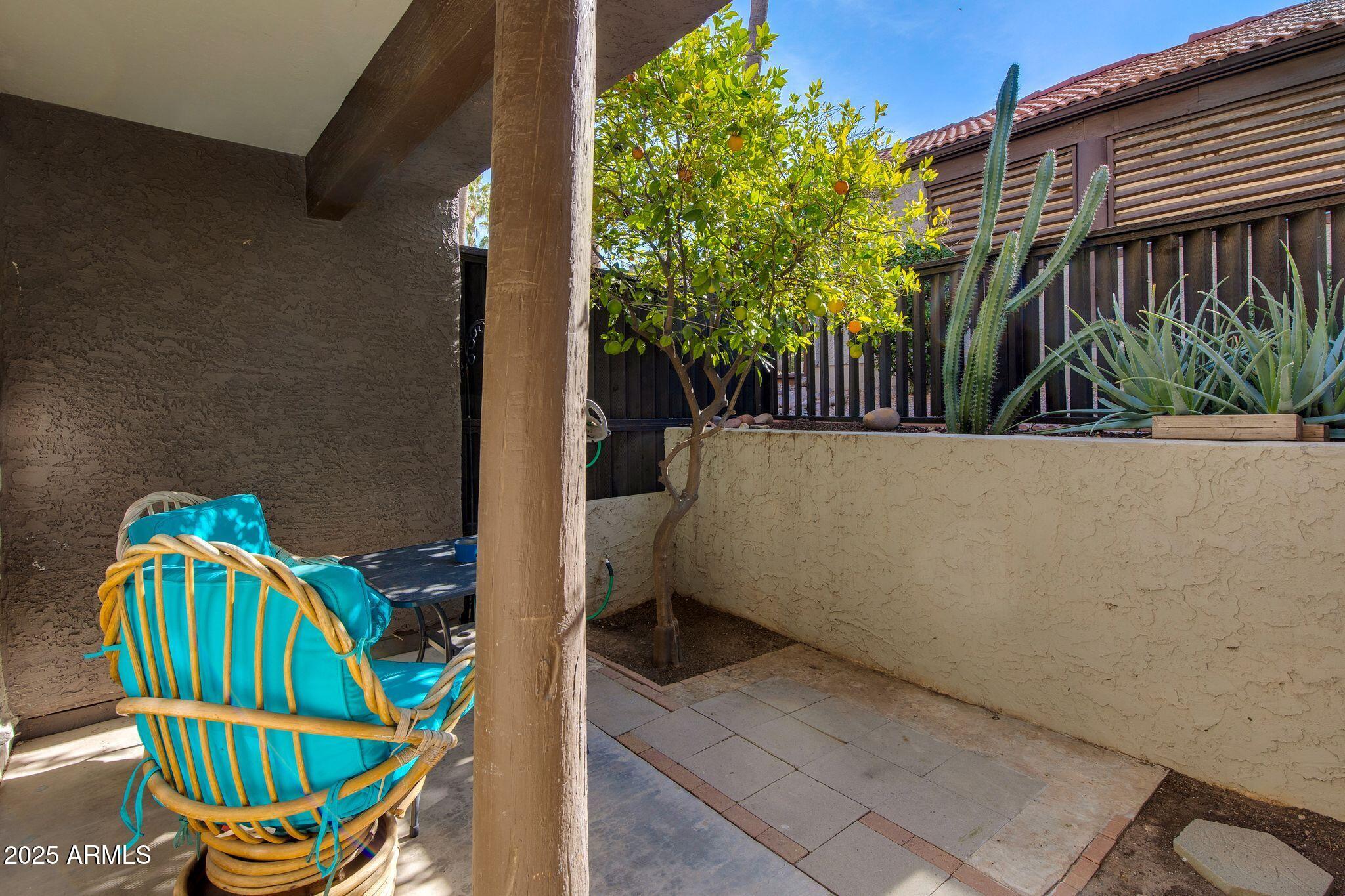 1645 W BASELINE Road 1058