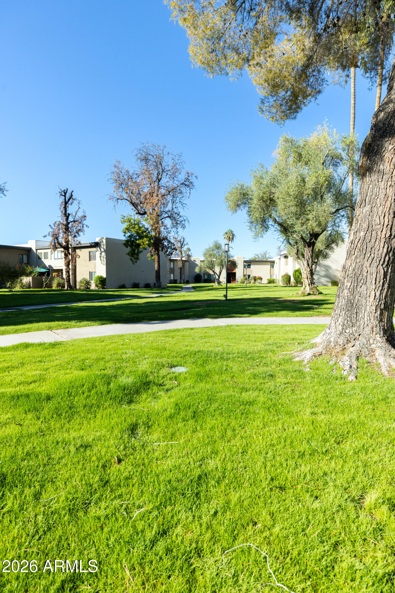 4201 E CAMELBACK Road 91