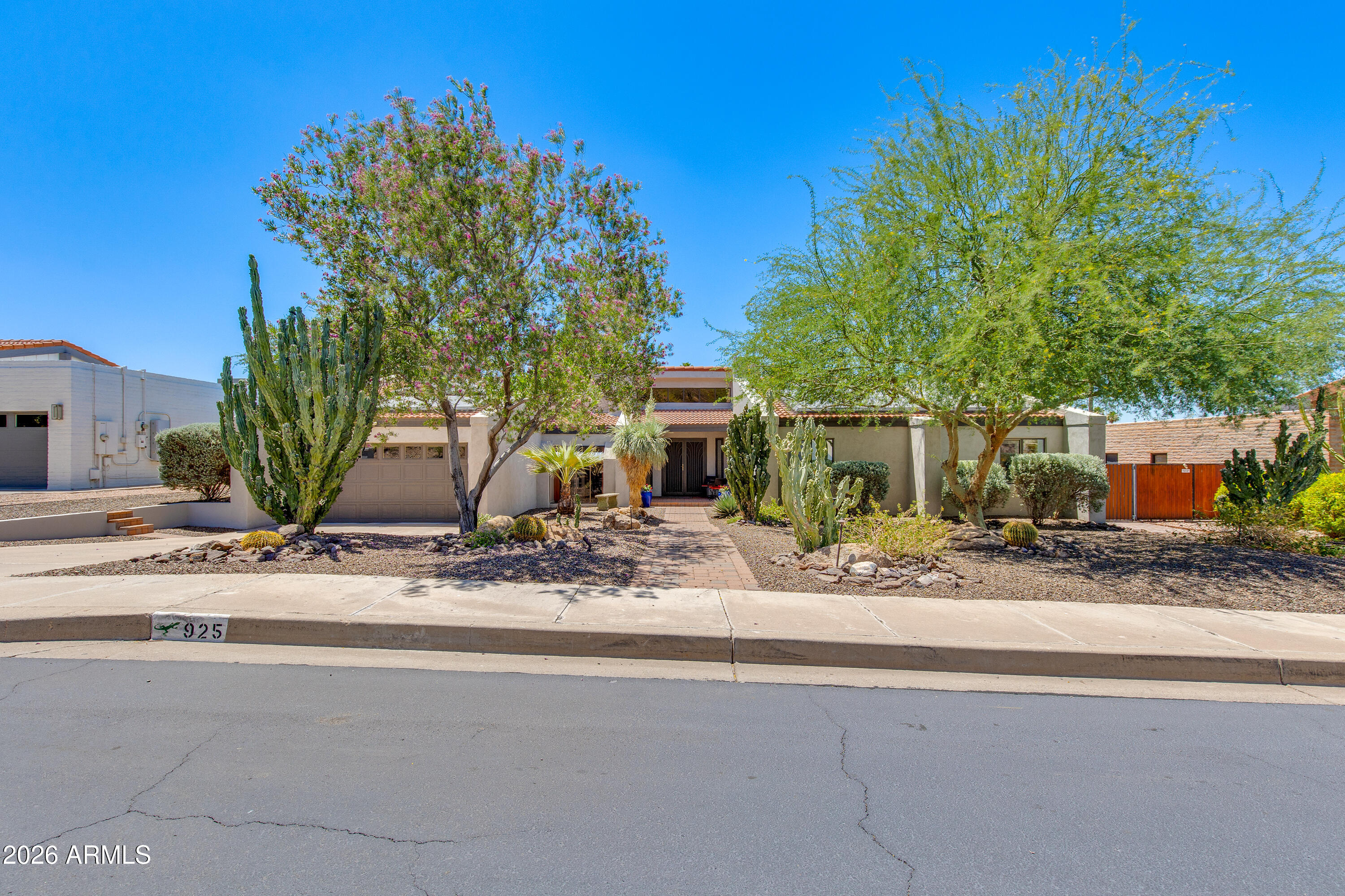 Single-story home with desert landscaping, tall cacti, flowering trees, and a paved front walkway.