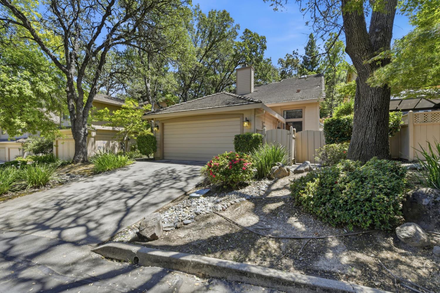 7419 Black Tree Lane