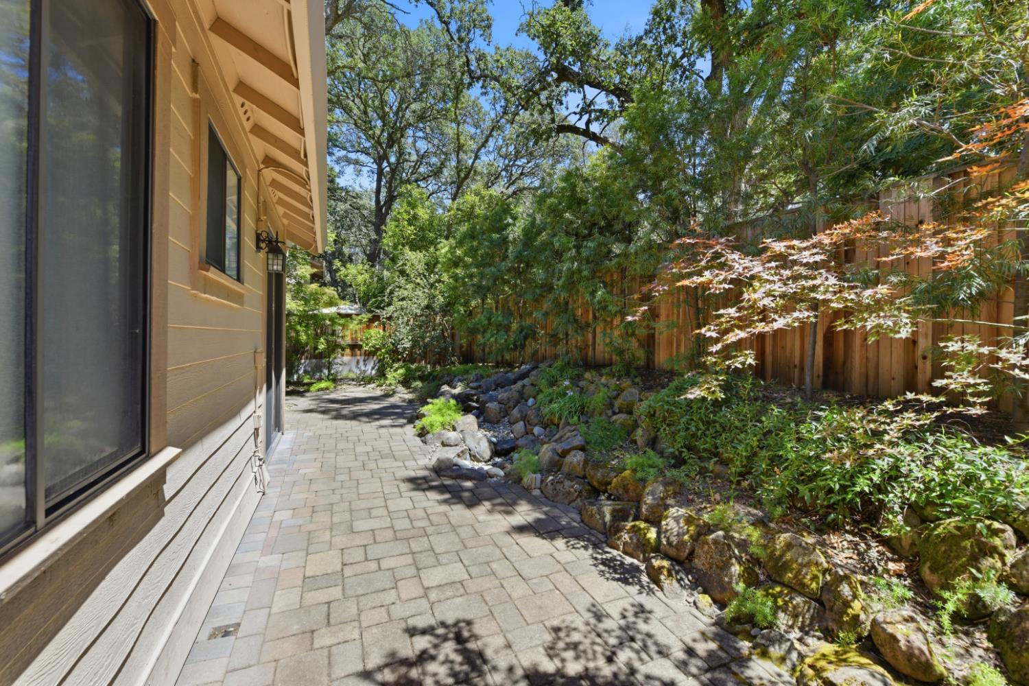 7419 Black Tree Lane