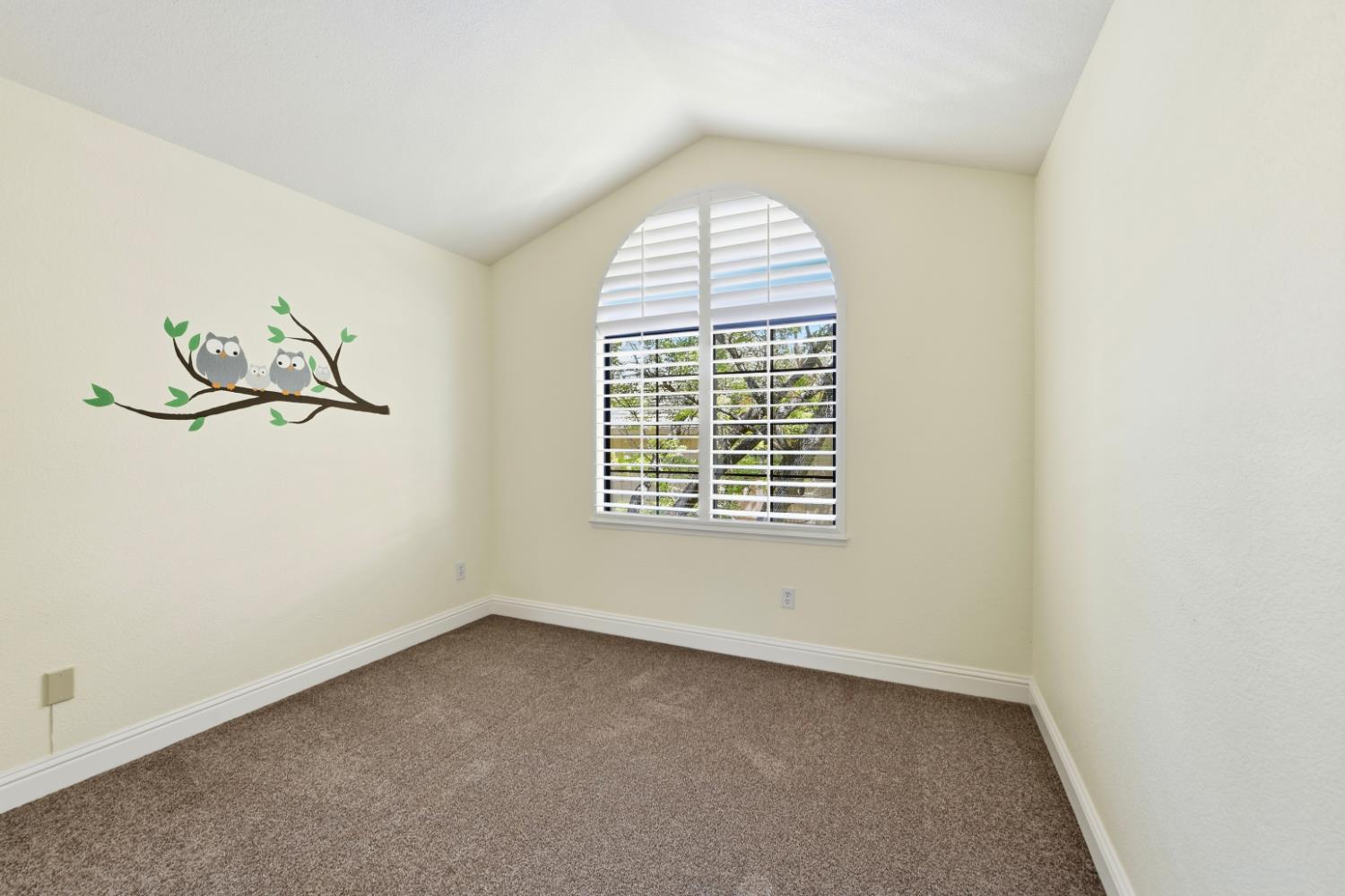 7419 Black Tree Lane