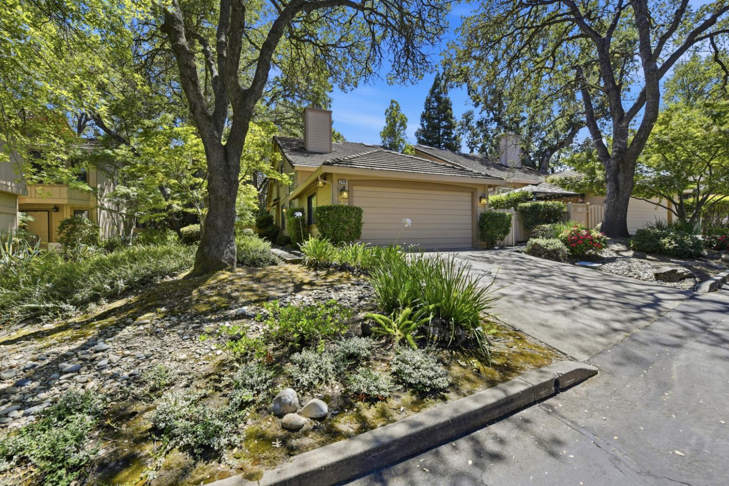 7419 Black Tree Lane