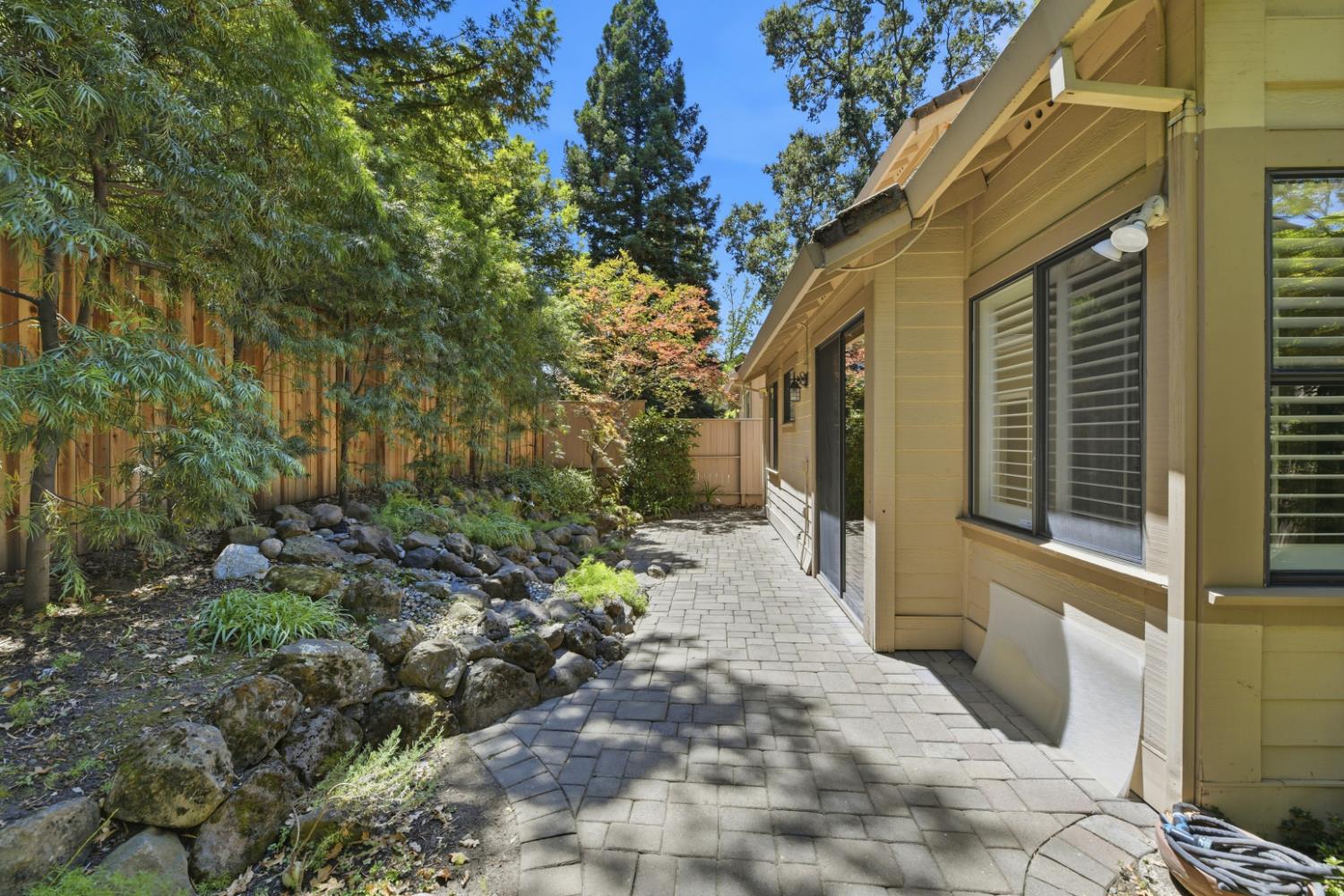 7419 Black Tree Lane