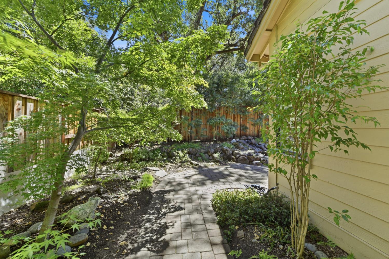 7419 Black Tree Lane