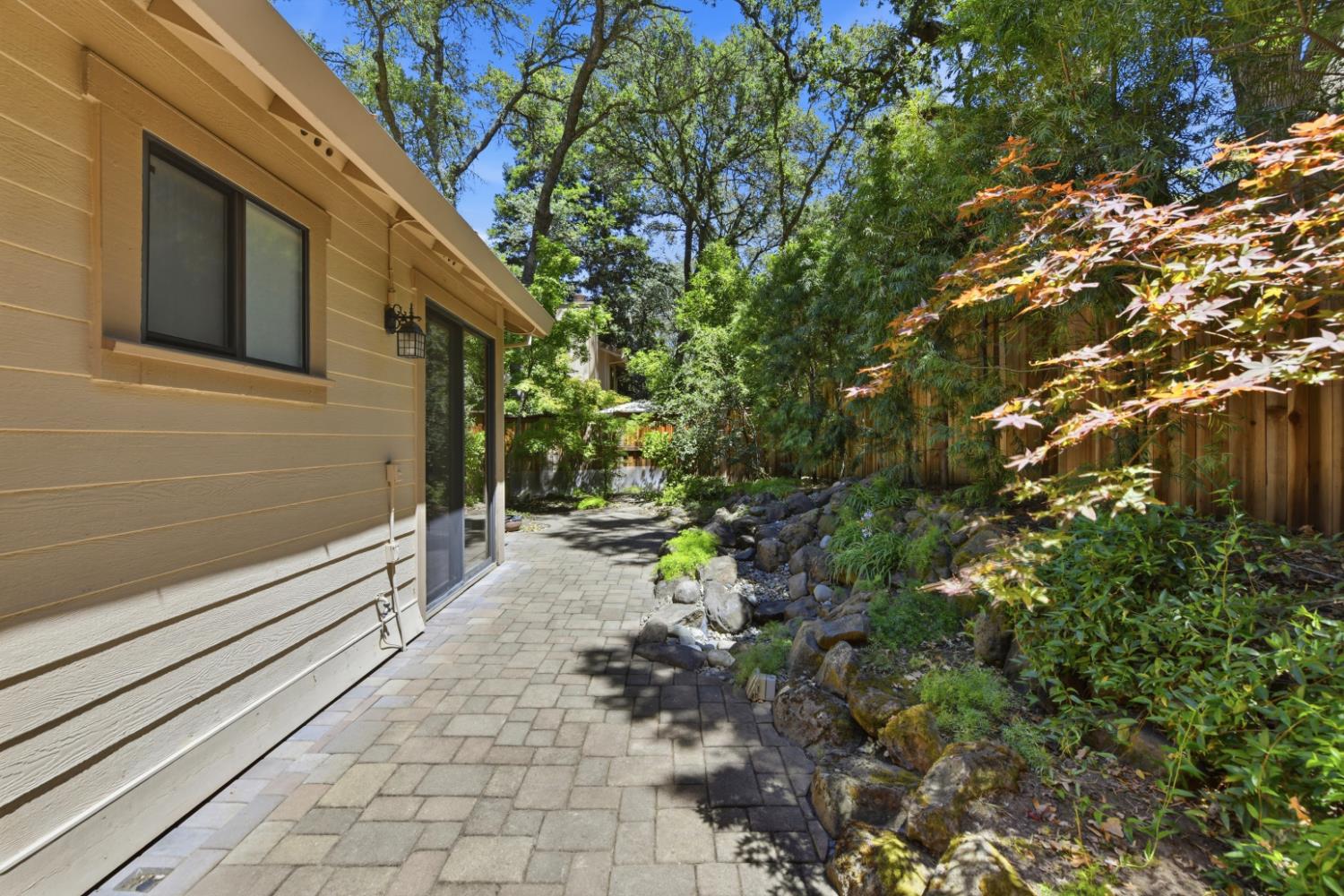 7419 Black Tree Lane