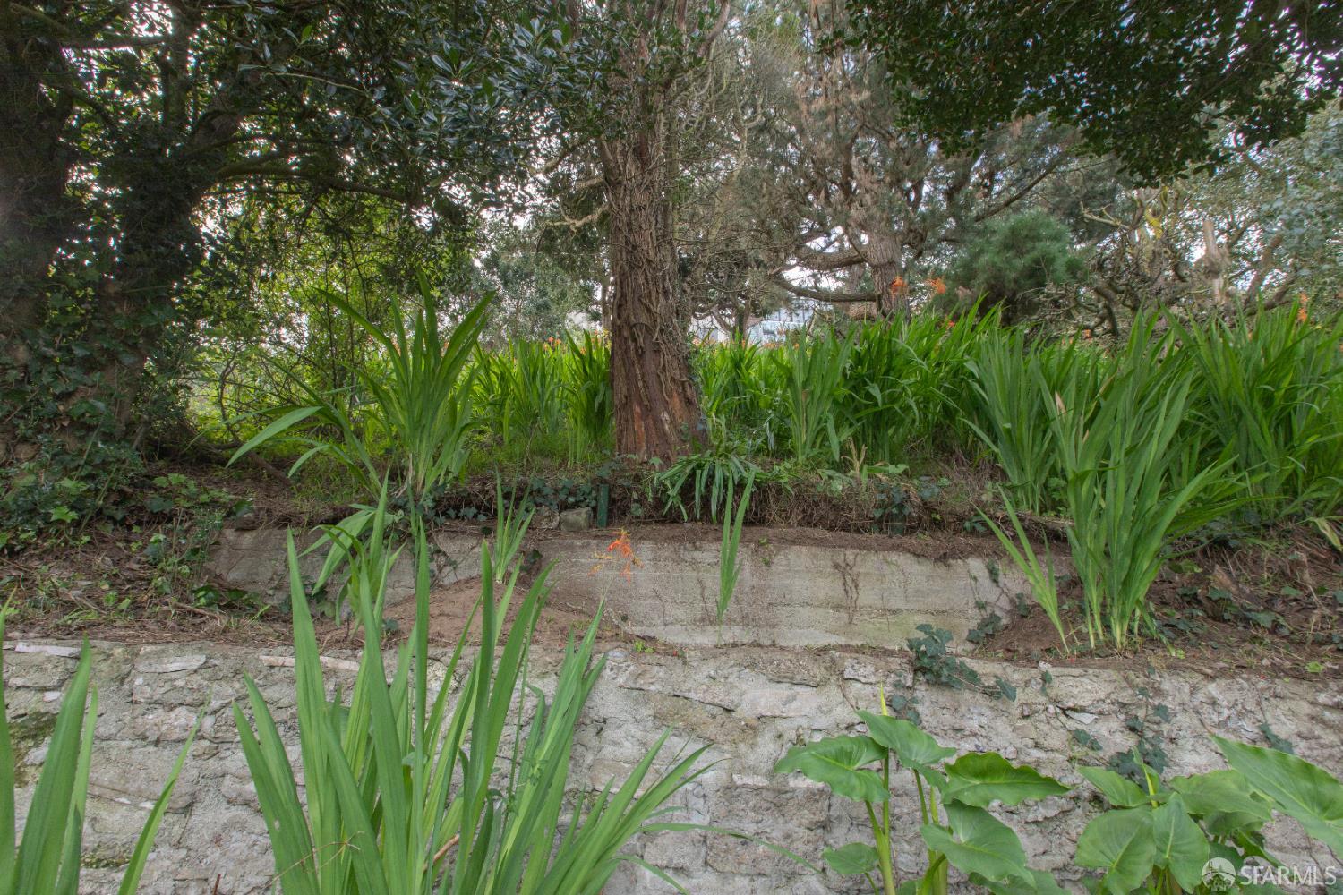 1135 Kirkham Street, SF