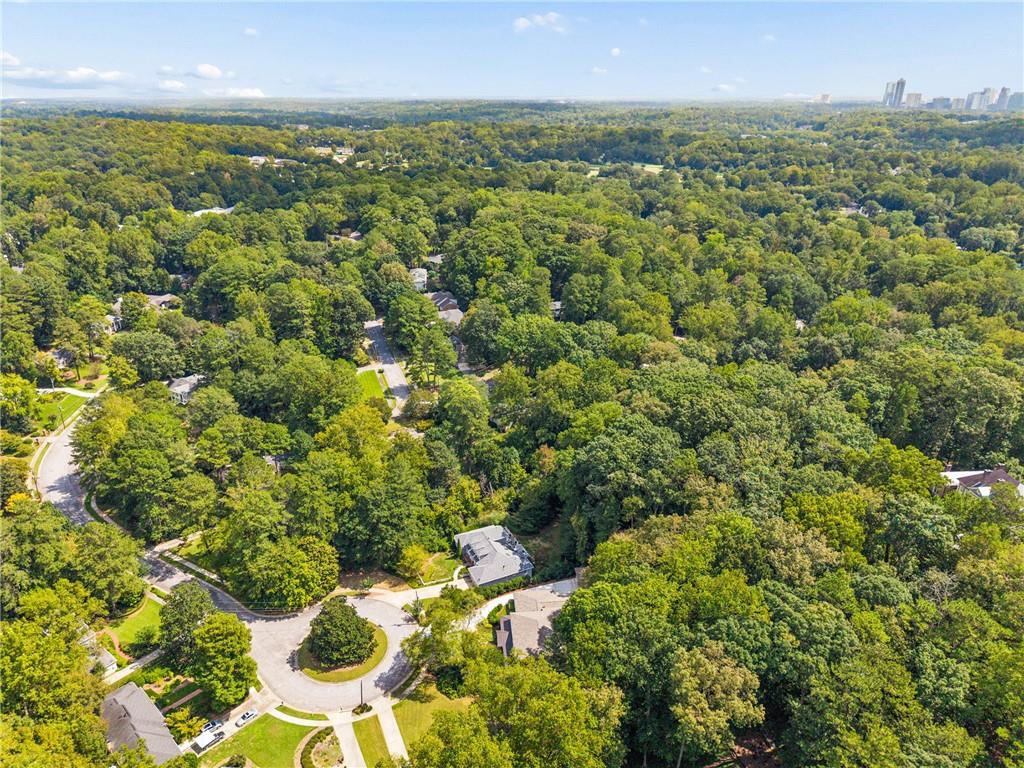 Aerial view of a wooded neighborhood with a distant city skyline.
