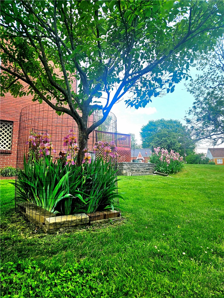 1806 Miller Ave