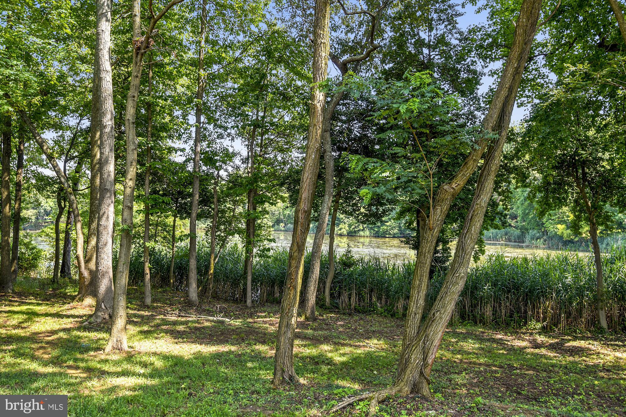 1119 Lake Heron Dr #2b