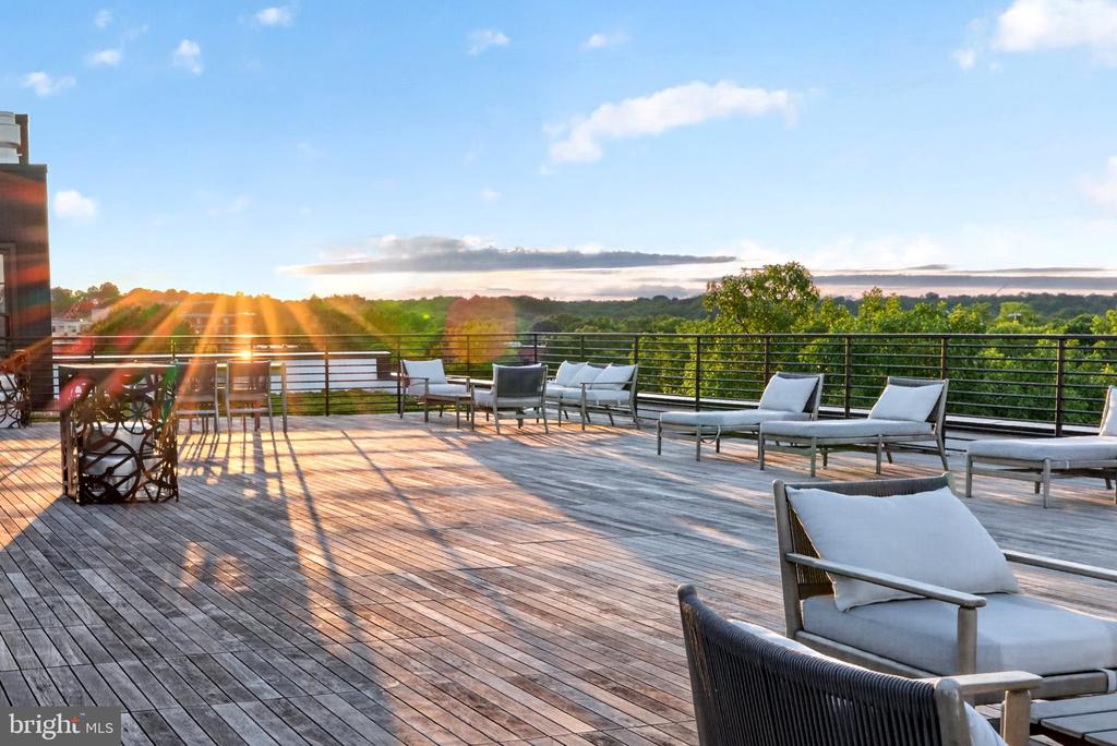 1312 KING STREET 302ALEXANDRIA