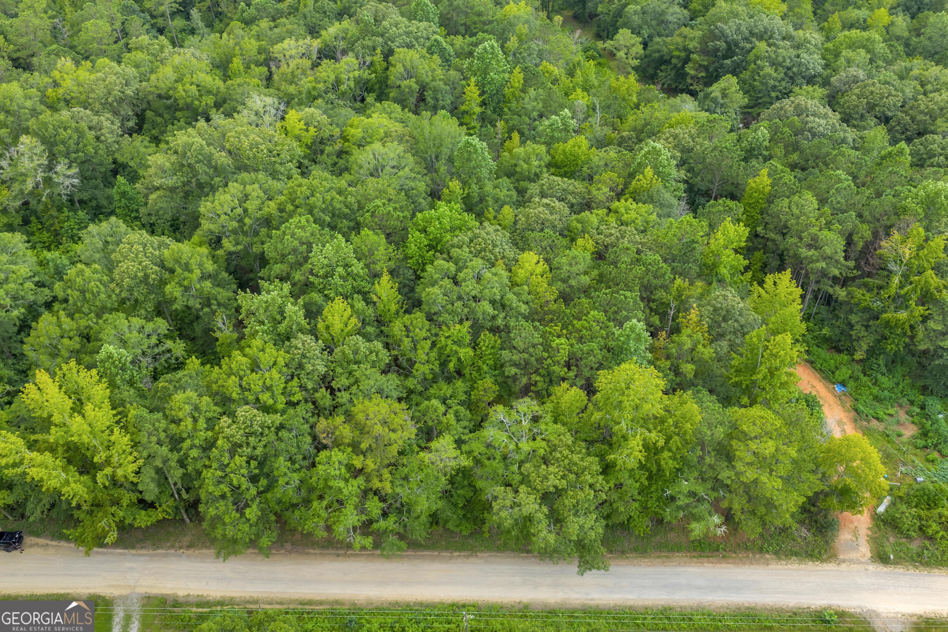 124 Fire Tower Rd