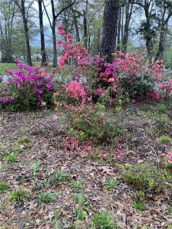 87 Salkehatchie Road