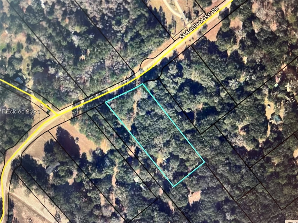 207 Spanish Moss Road