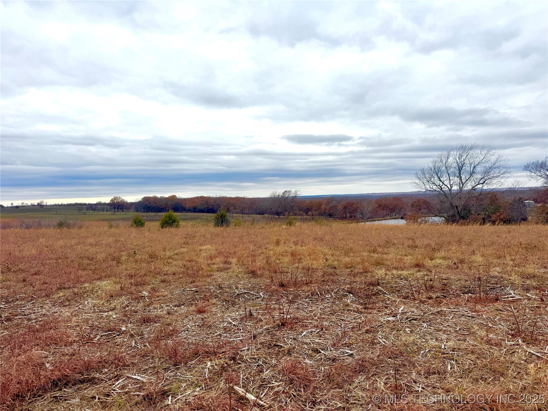 0000 Skyline Drive