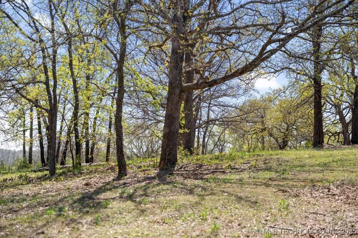 1 Hickory Bluff Road