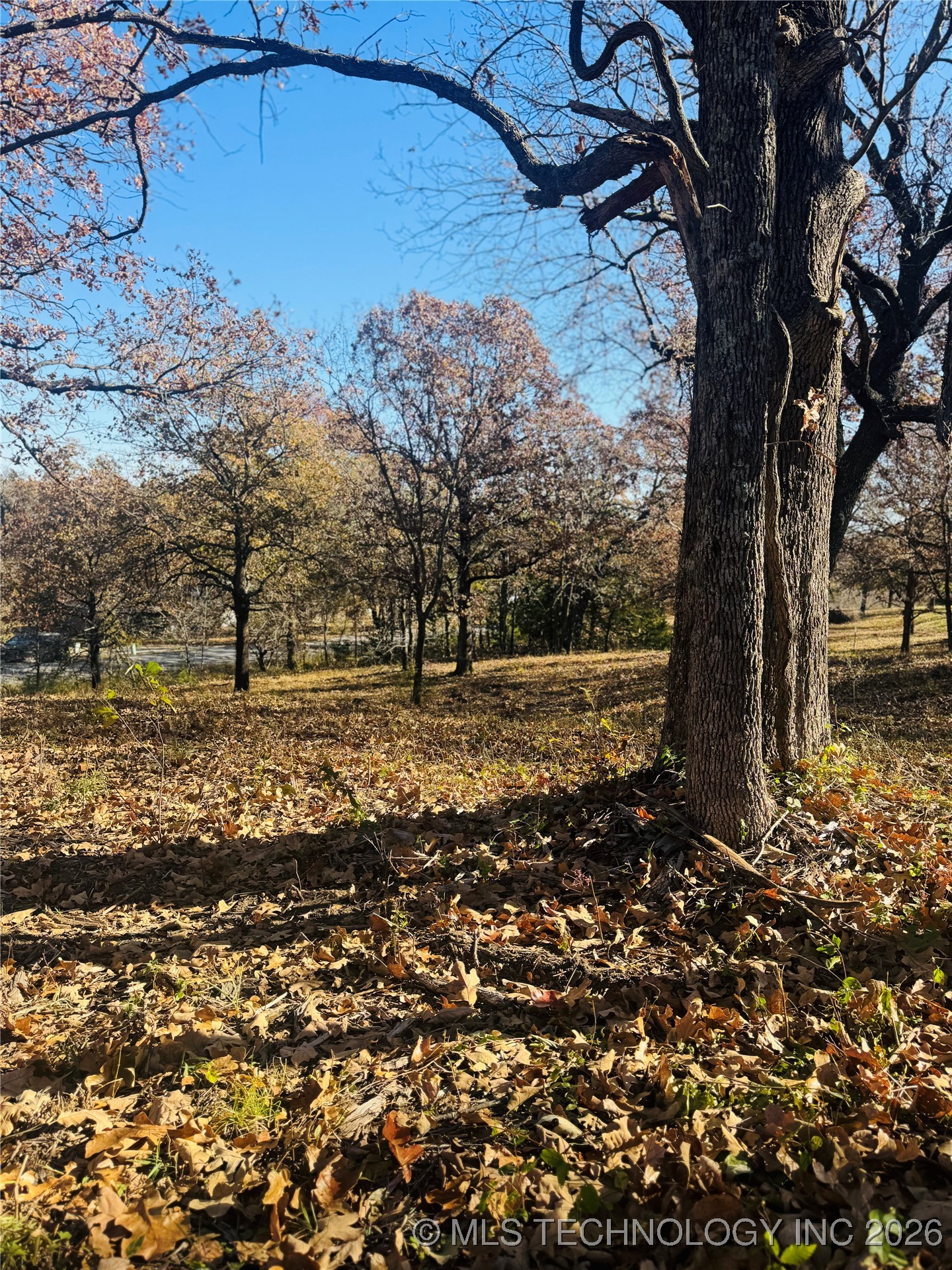 1 Hickory Bluff Road