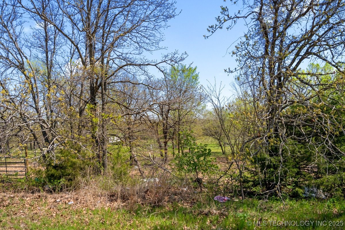 2 Hickory Bluff Street