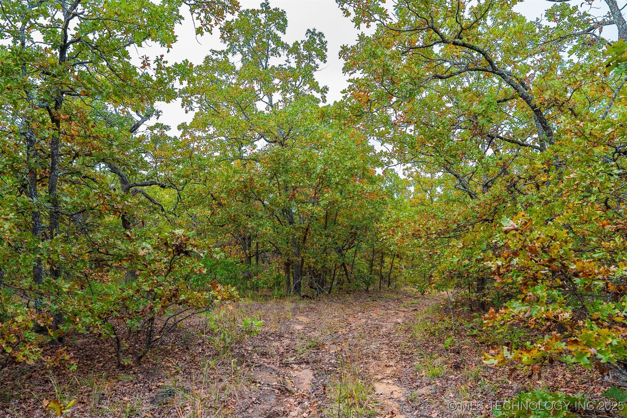 15700 Holt Road
