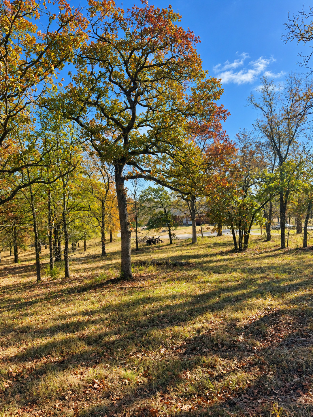 1 Hickory Bluff Street