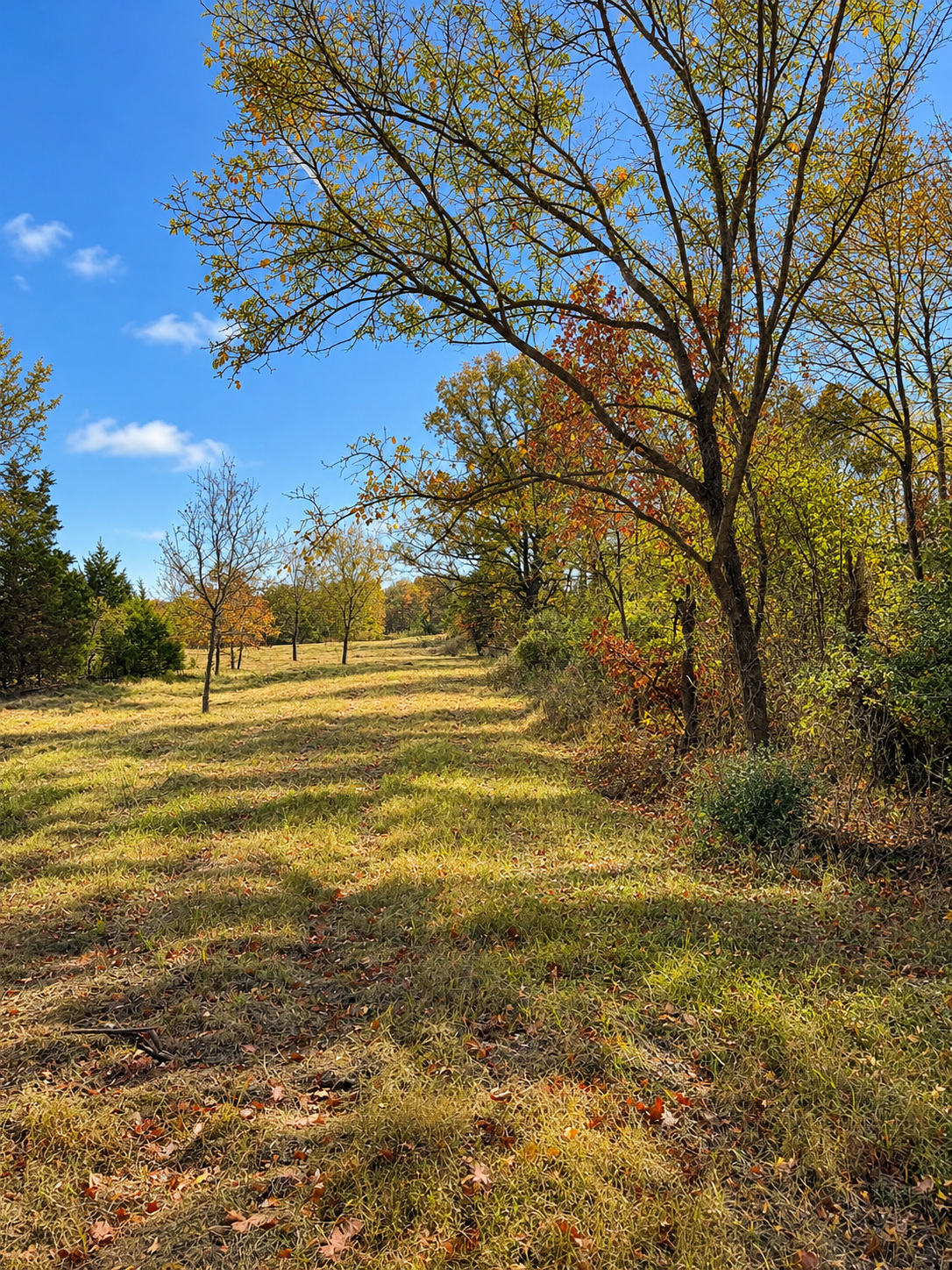 1 Hickory Bluff Street