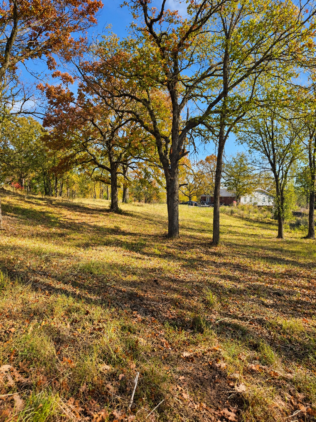 1 Hickory Bluff Street