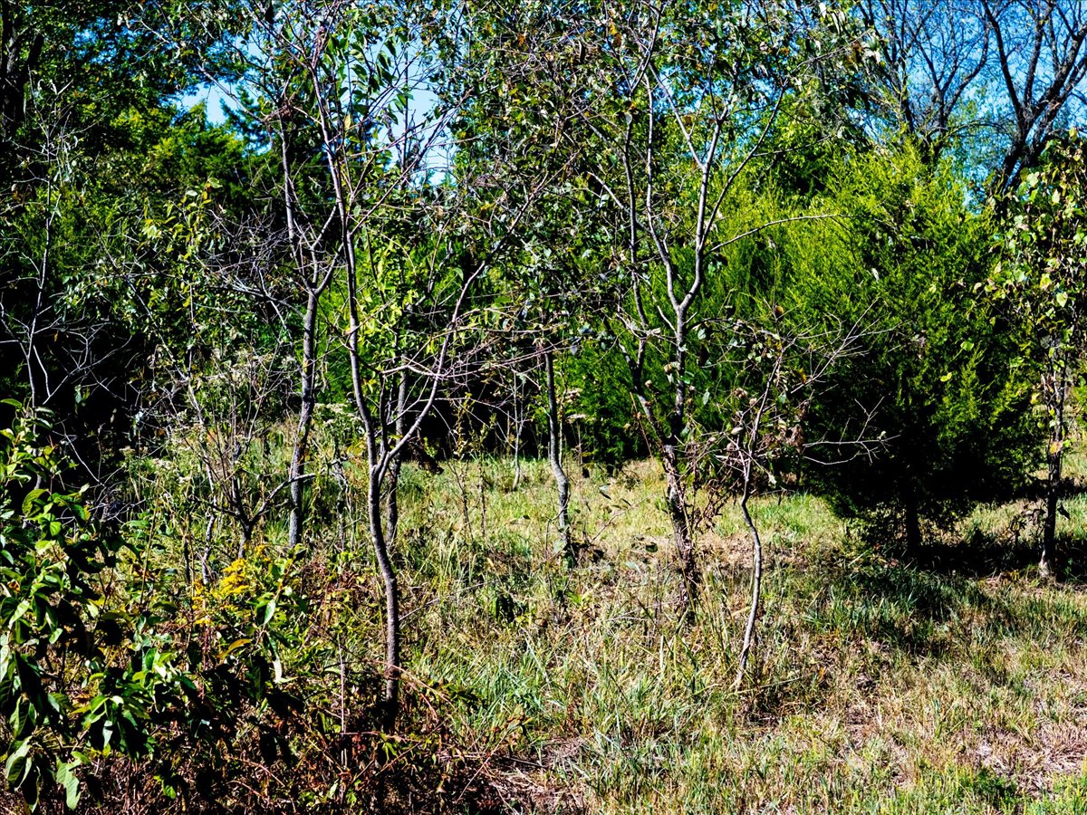 1 N 52 Avenue W