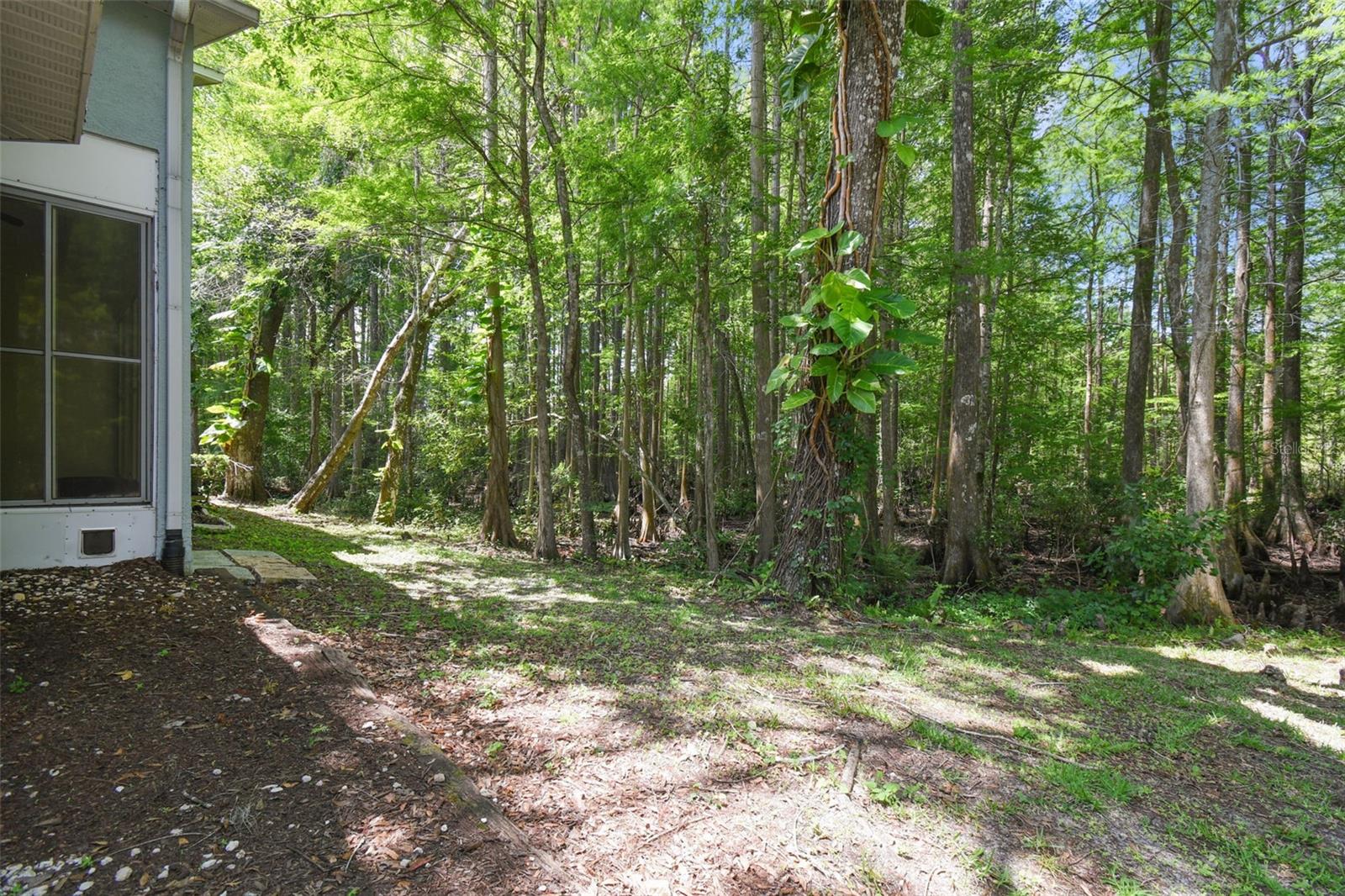 12521 HOLLYBROOK LN