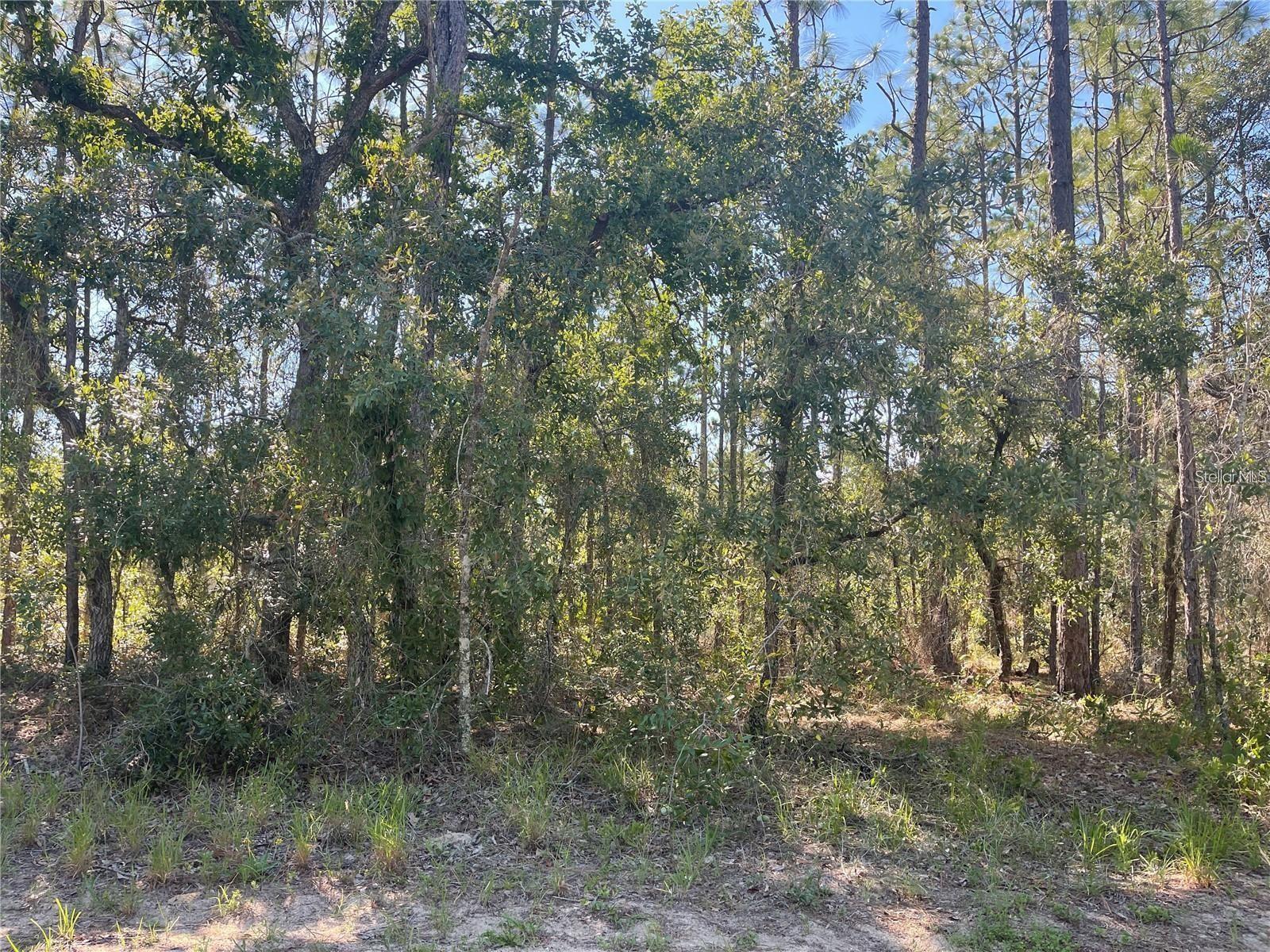 6 BOXLEAF CT