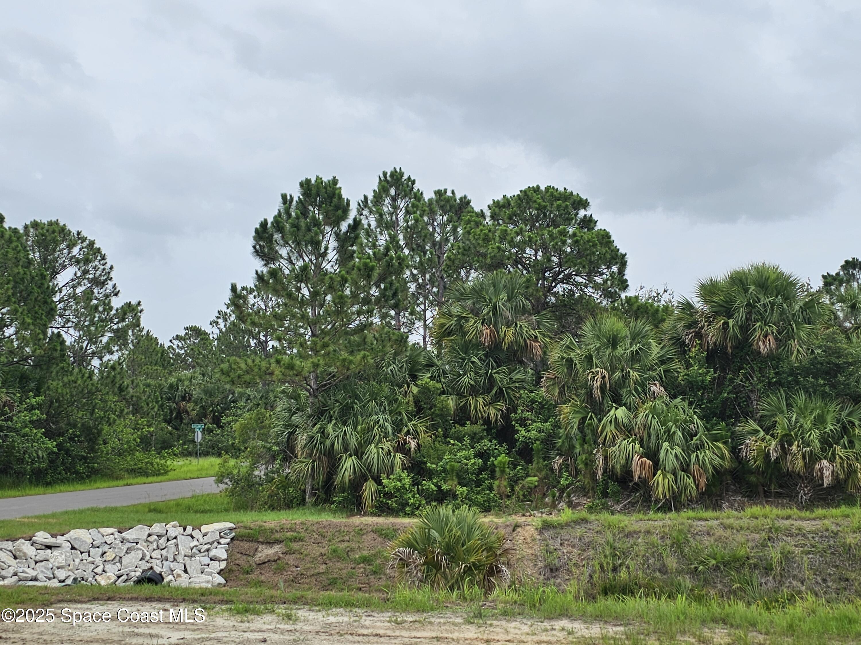 3317 Fitzpatrick Avenue SW