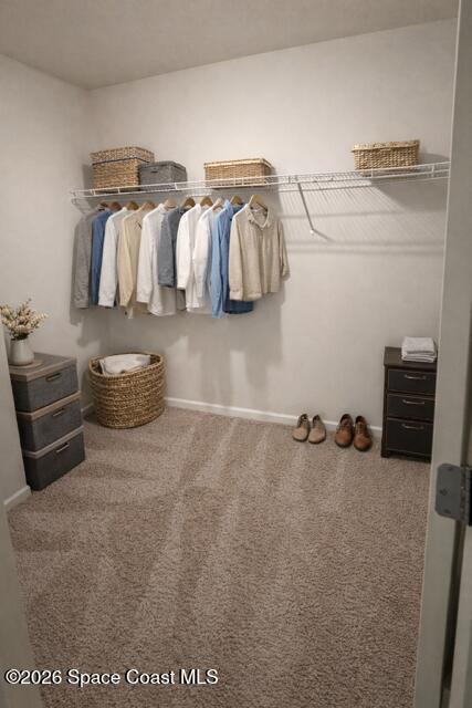 529 Forest Trace Cir