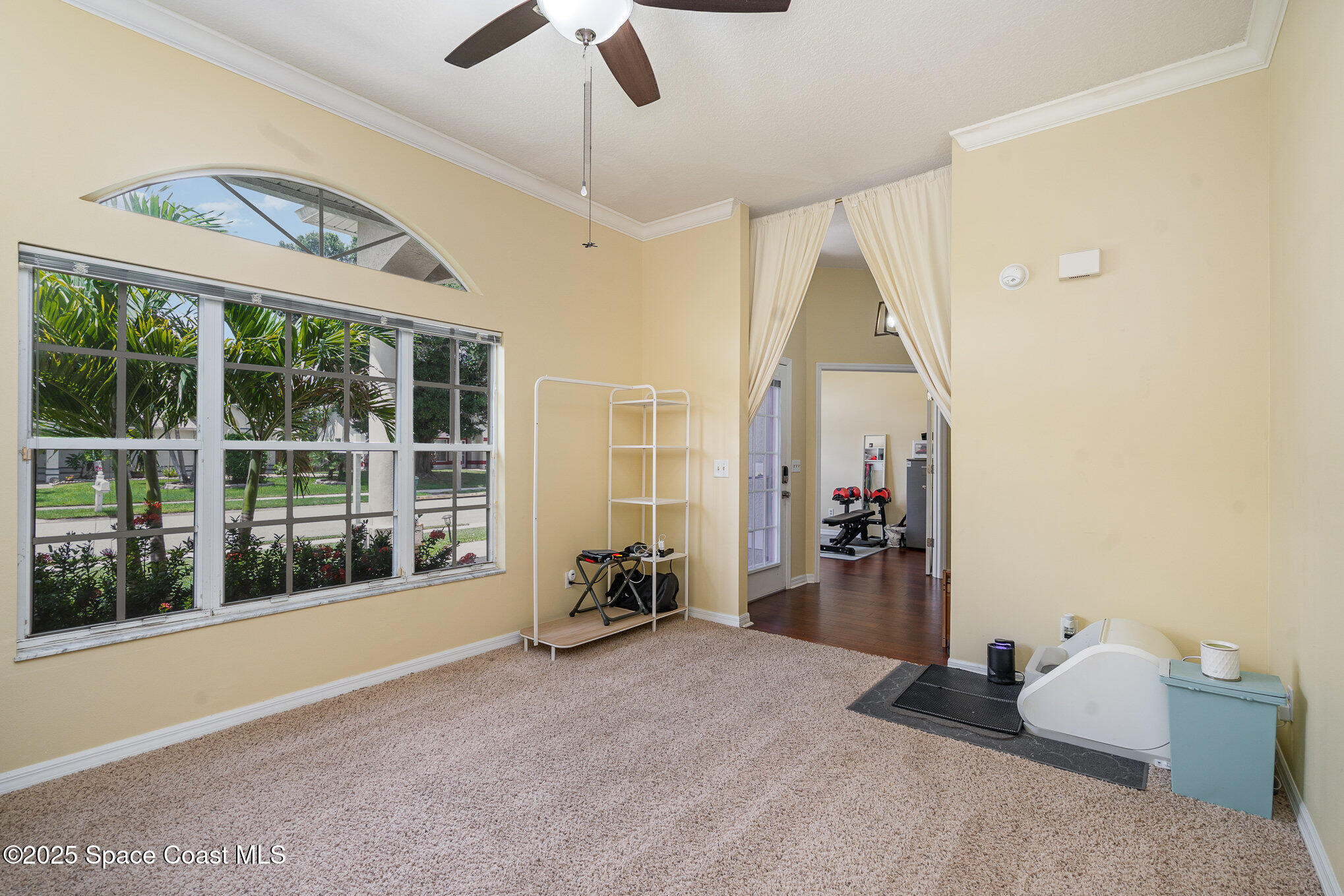 3623 Egret Drive